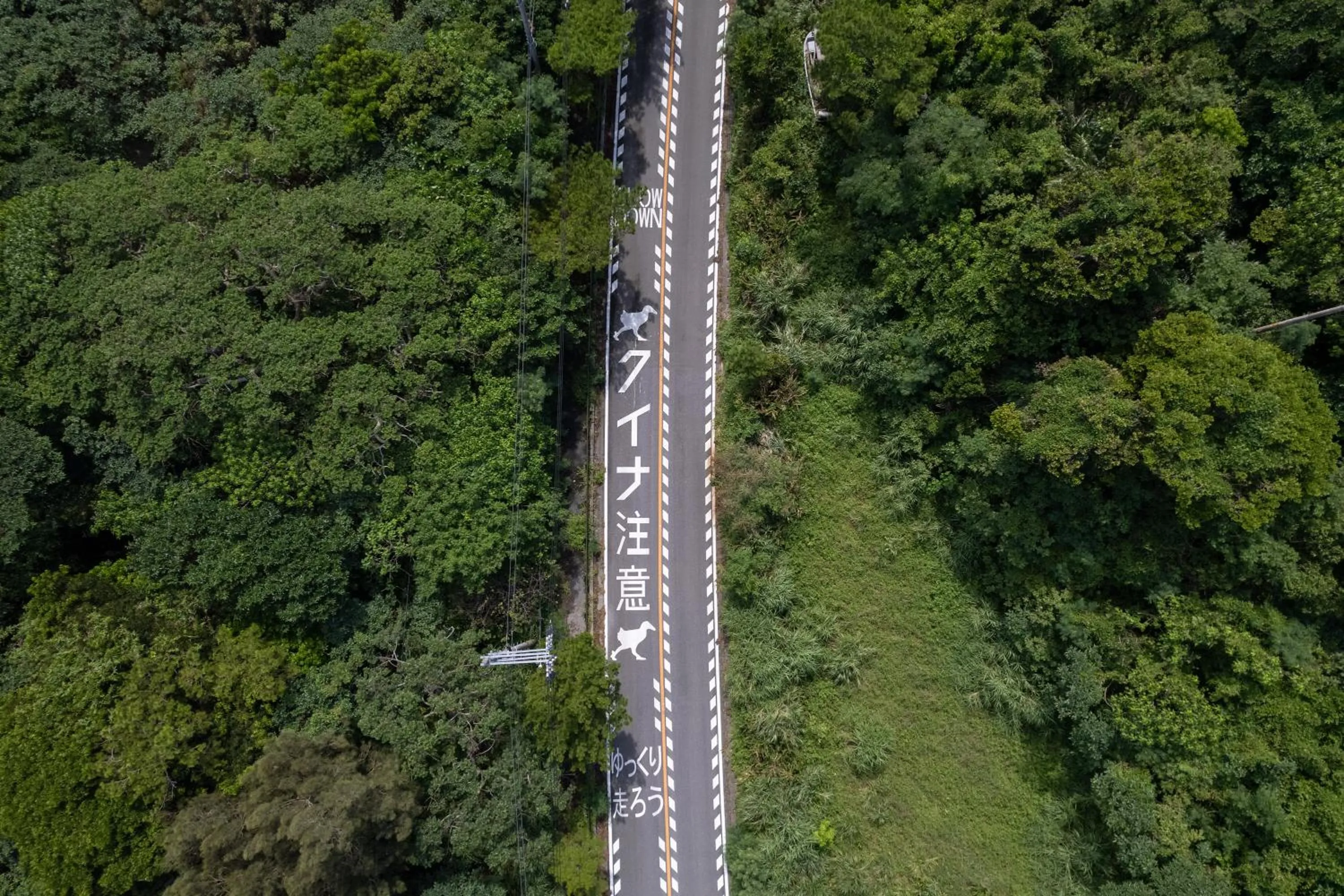 Natural landscape in Ada Garden Hotel Okinawa