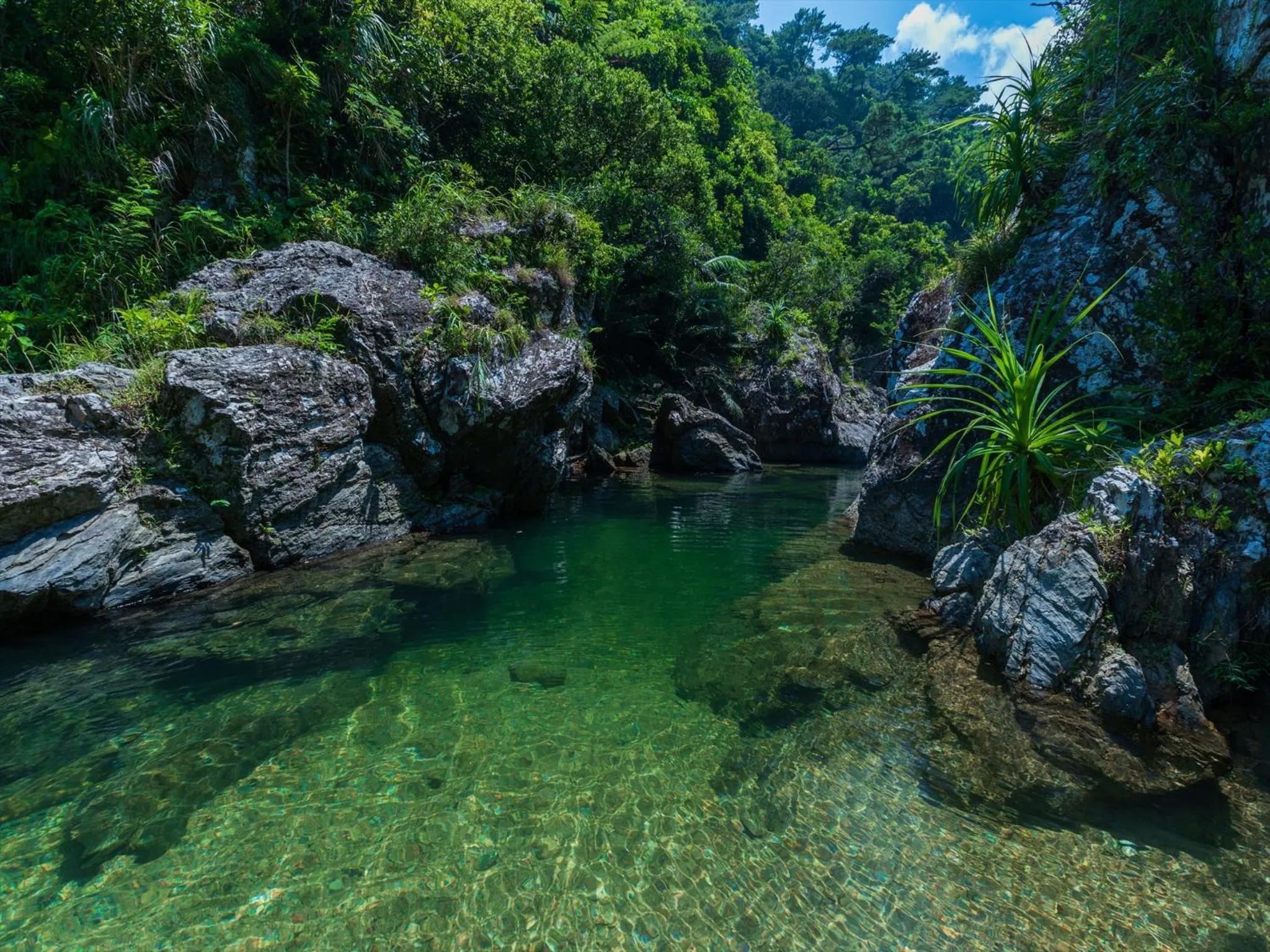 Off site in Ada Garden Hotel Okinawa