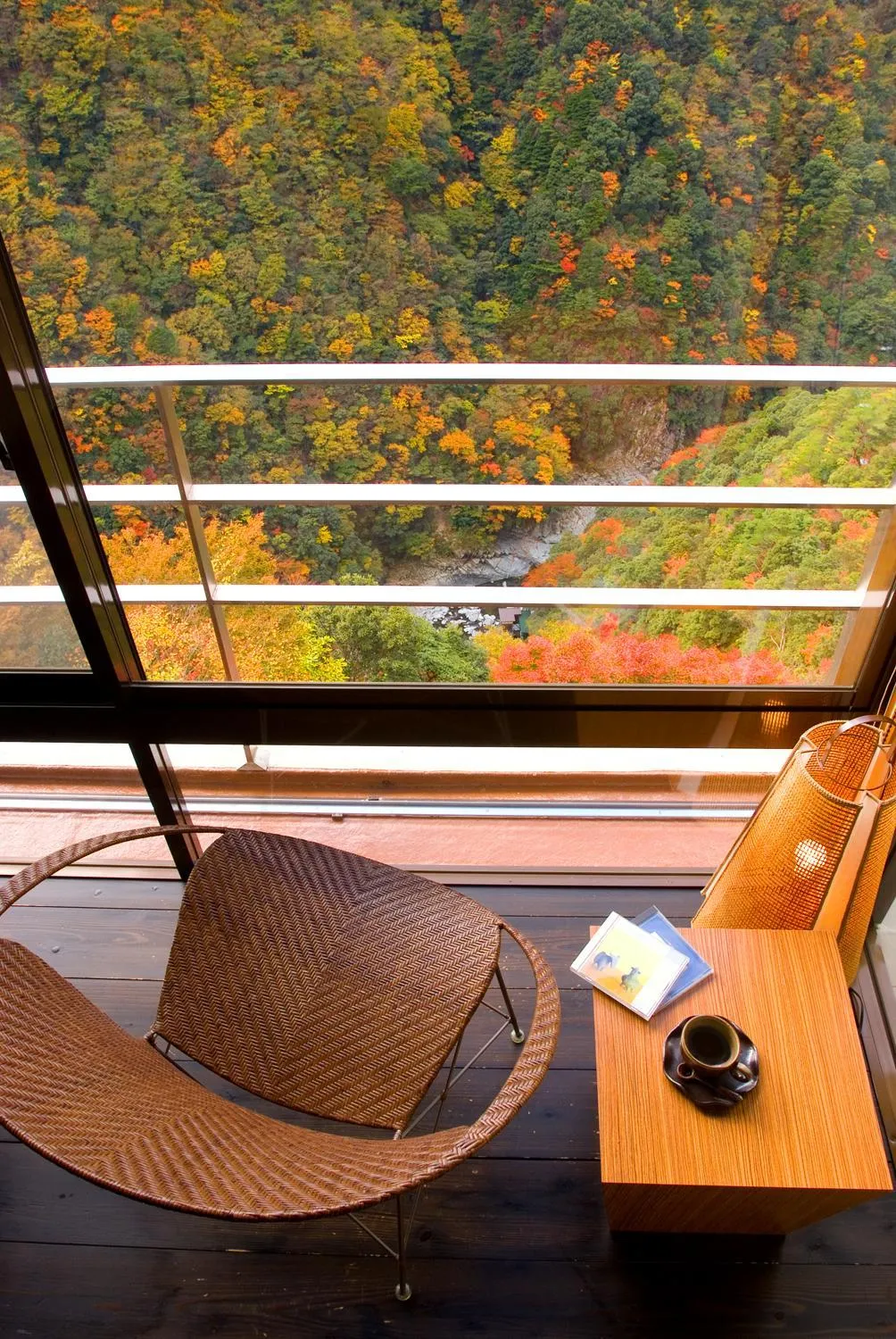 Photo of the whole room in Iya Onsen