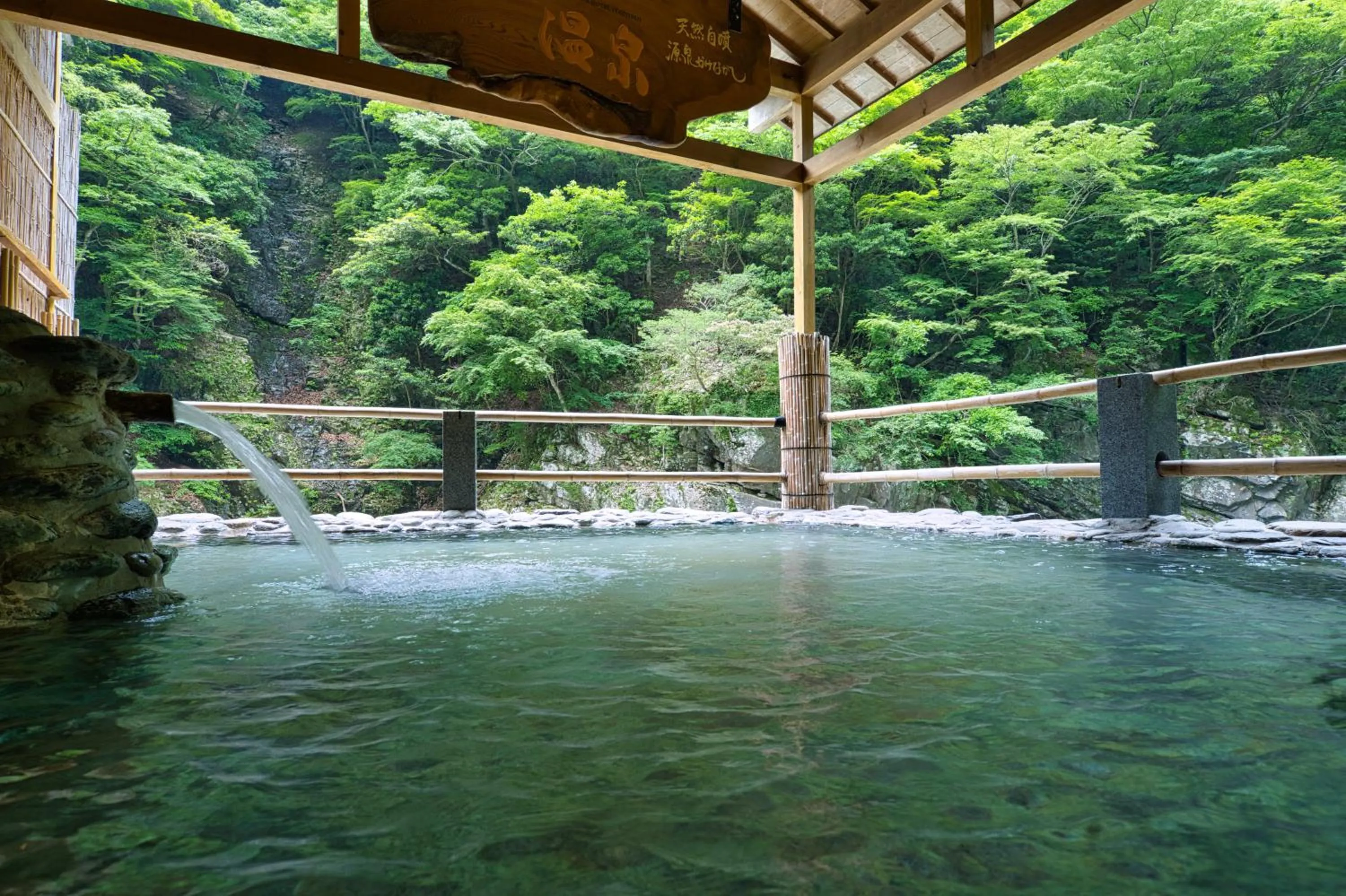Hot Spring Bath in Iya Onsen