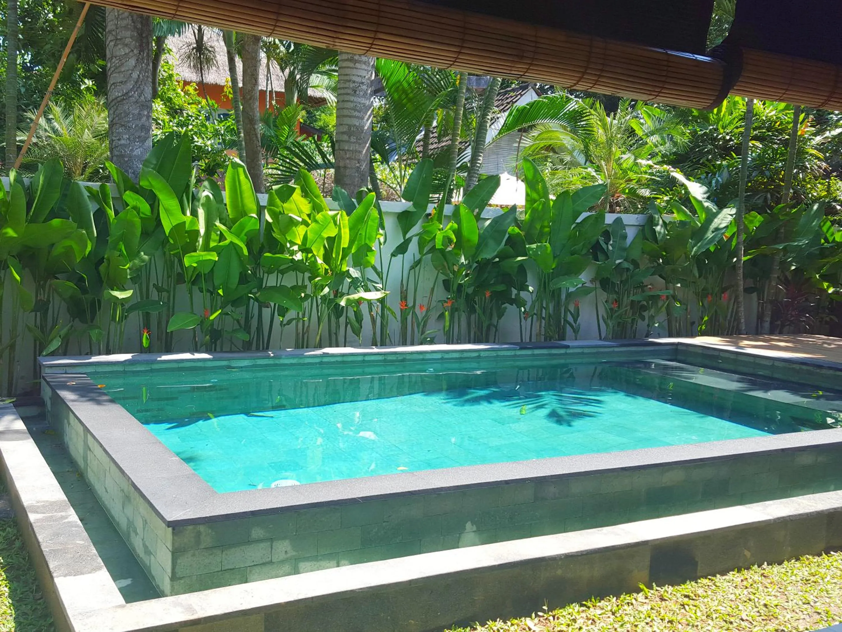 Pool view in Juada Garden