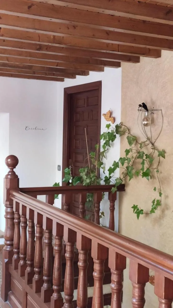 Area and facilities in La Posada de Chinchilla