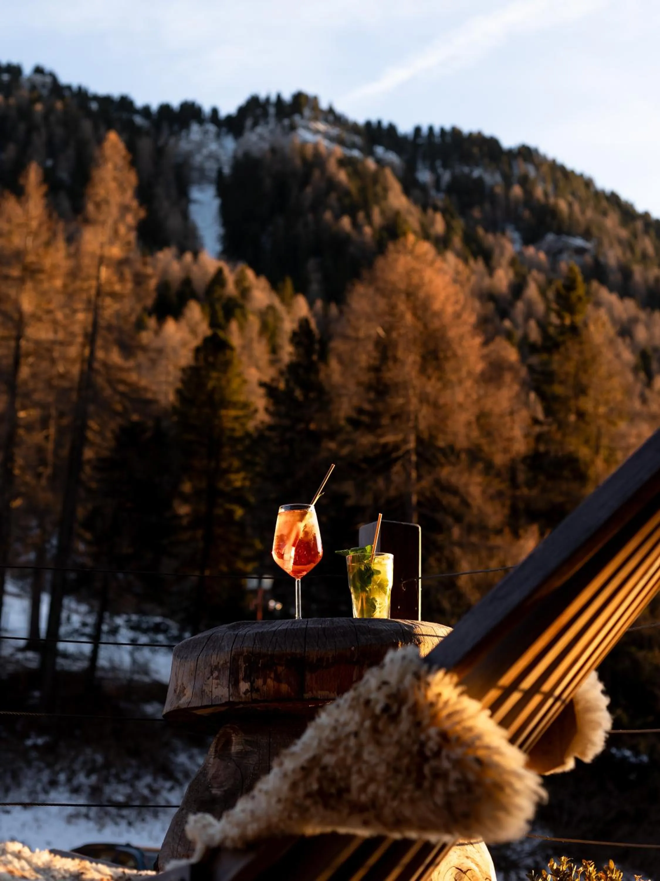 Balcony/Terrace in Hotel Scoiattolo