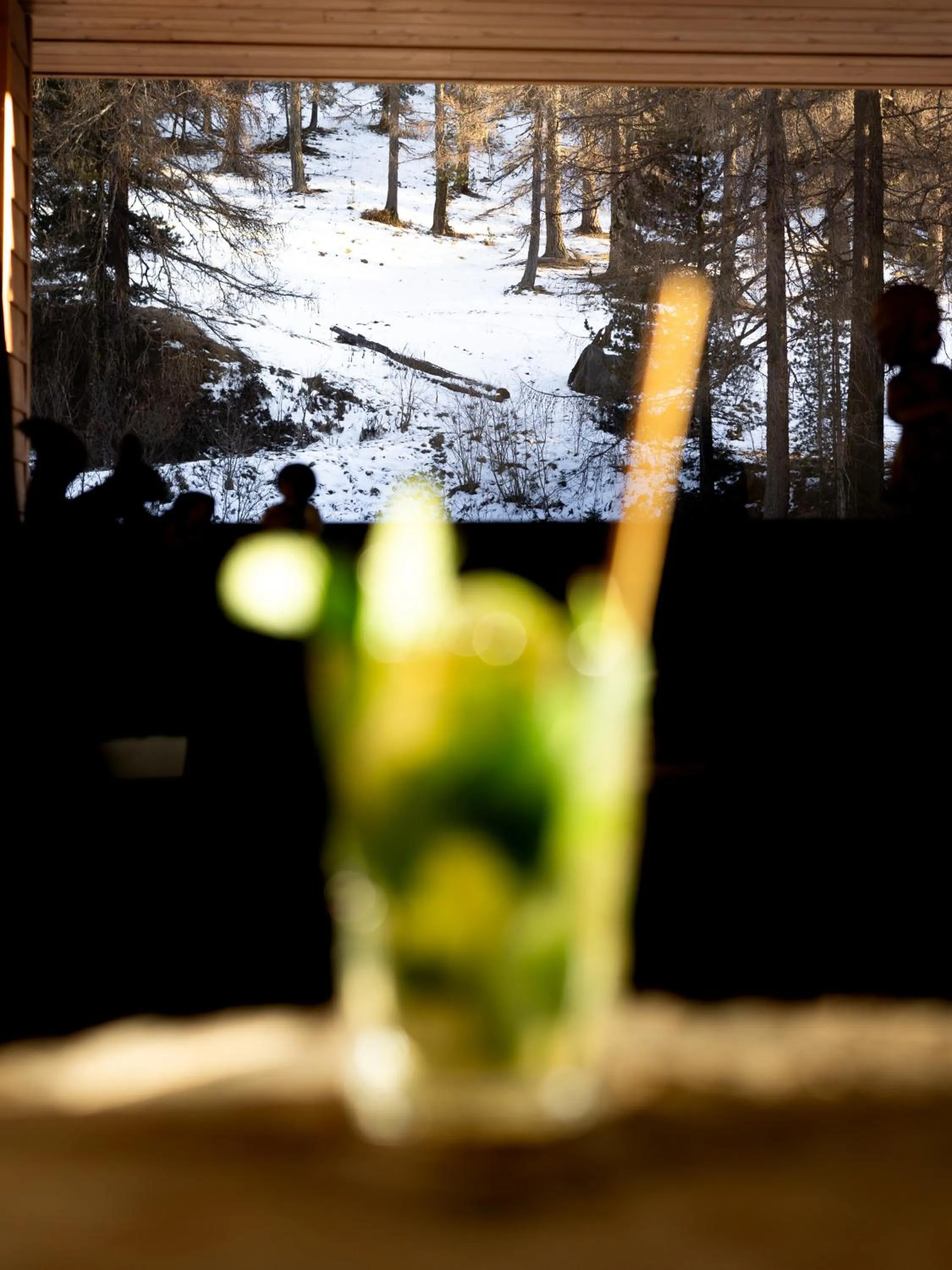 Lounge or bar in Hotel Scoiattolo