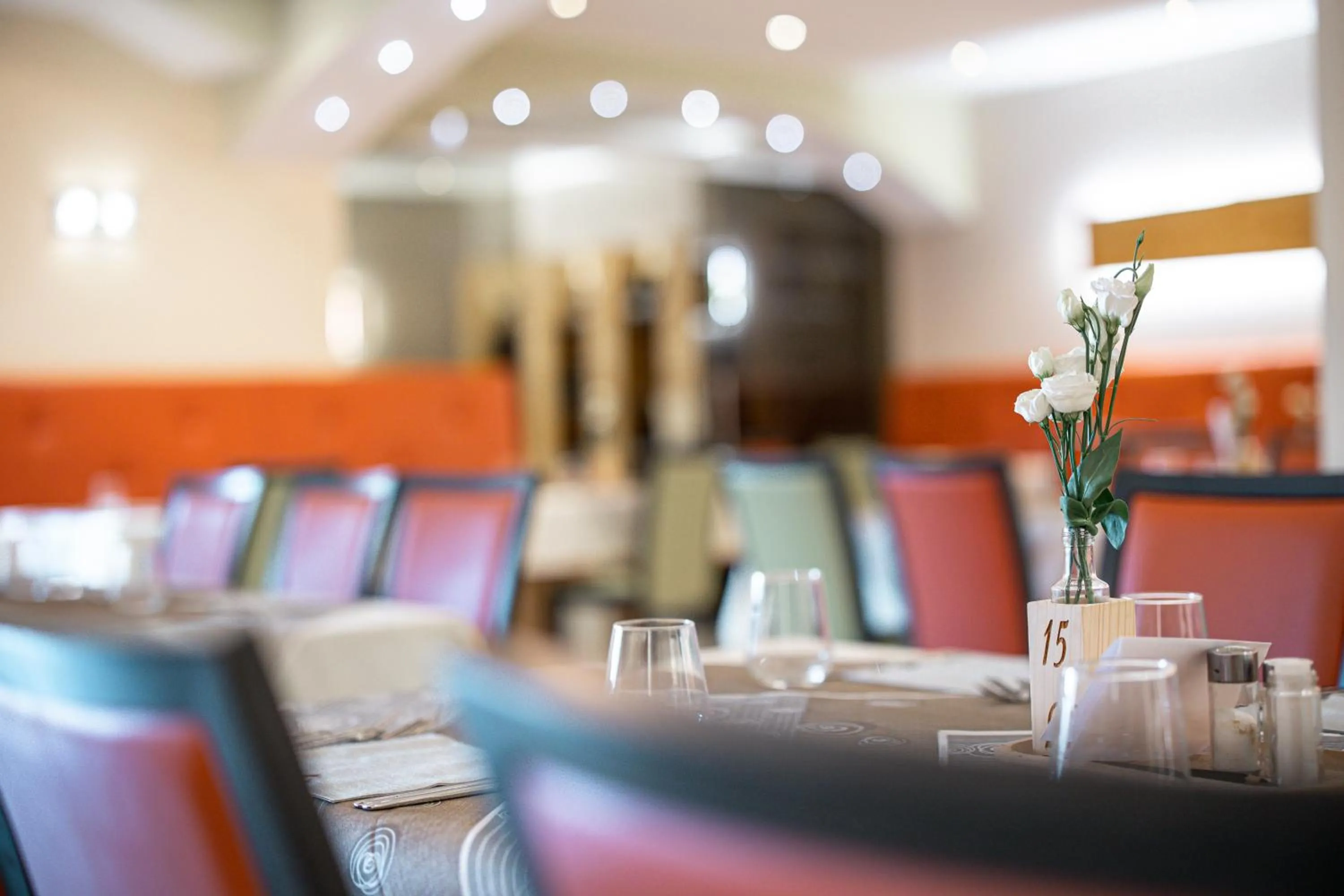 Restaurant/places to eat in Hotel Scoiattolo