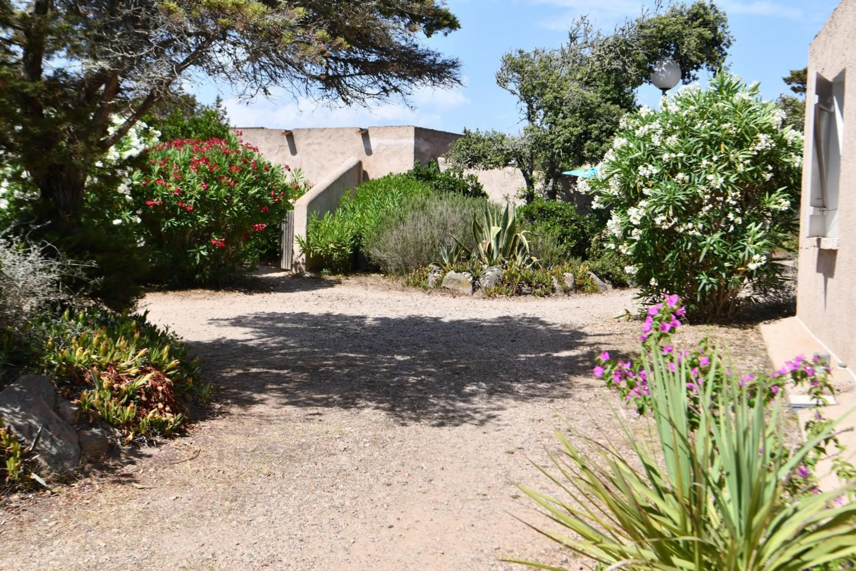 Garden in Domaine Bocca di Feno