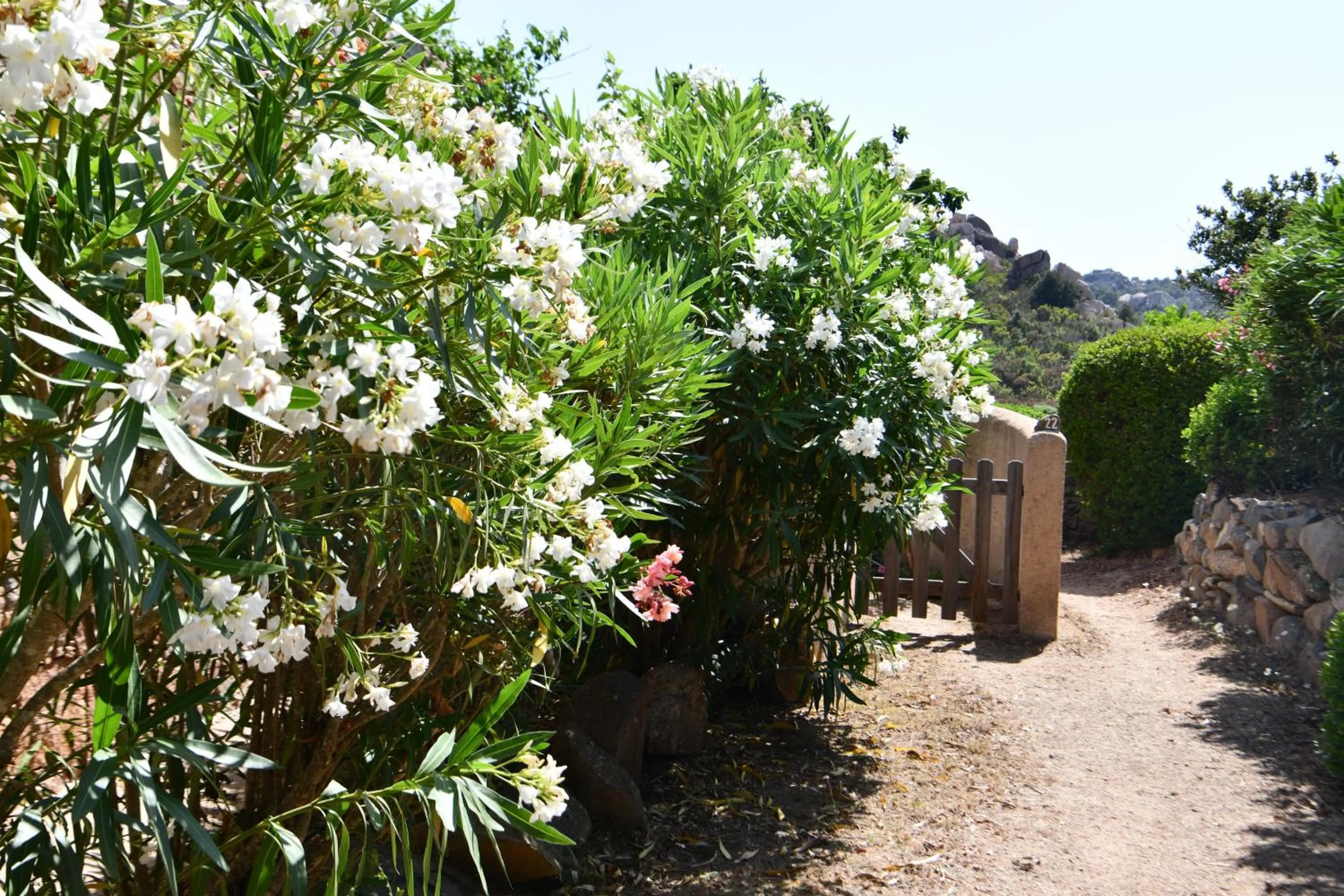 Spring in Domaine Bocca di Feno