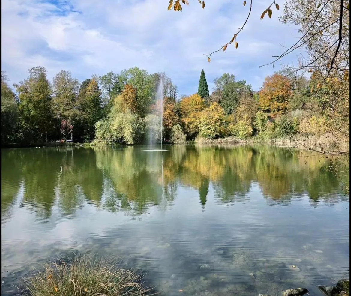 View (from property/room) in Bett am Weiher