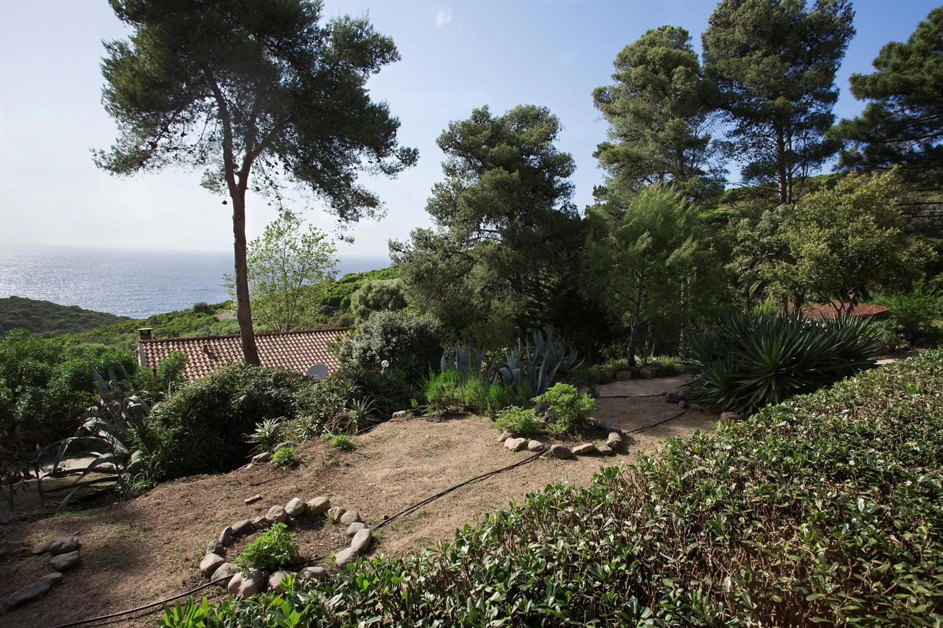 Garden in Auberge Ferayola