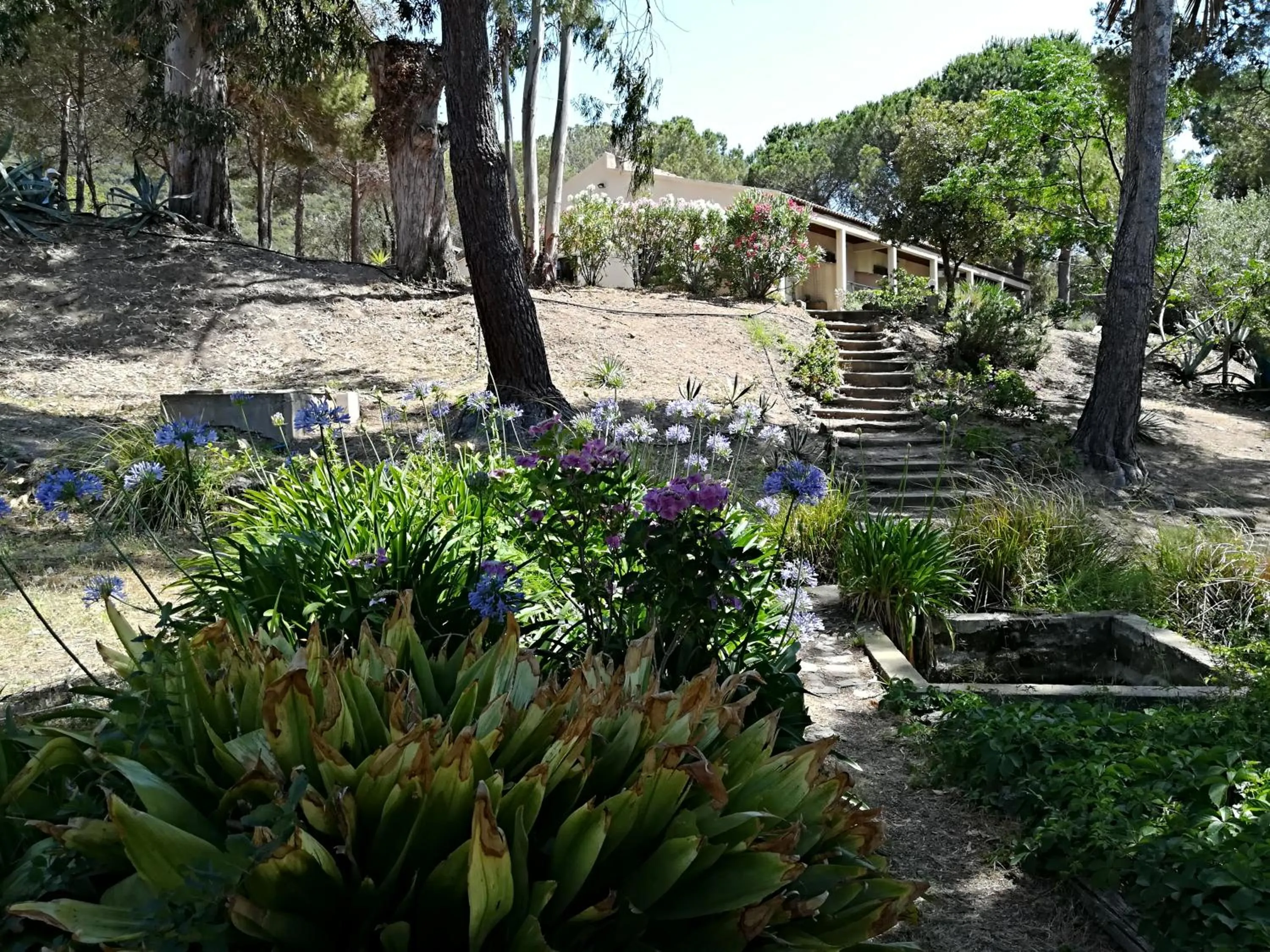 Garden in Auberge Ferayola