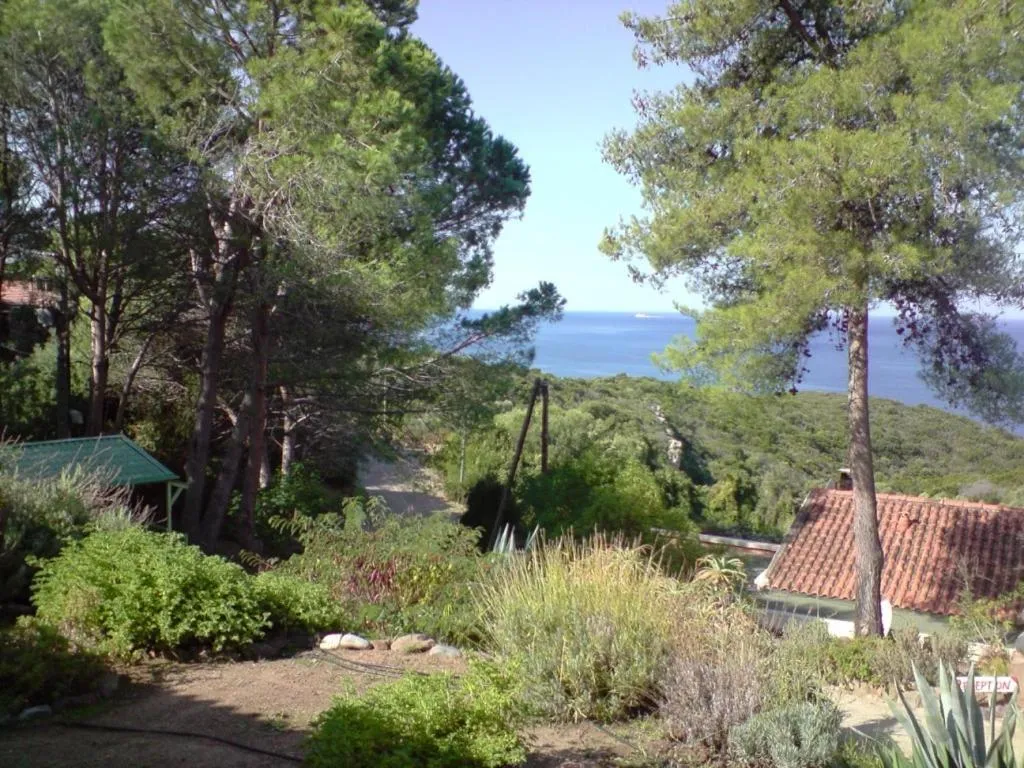 Garden in Auberge Ferayola