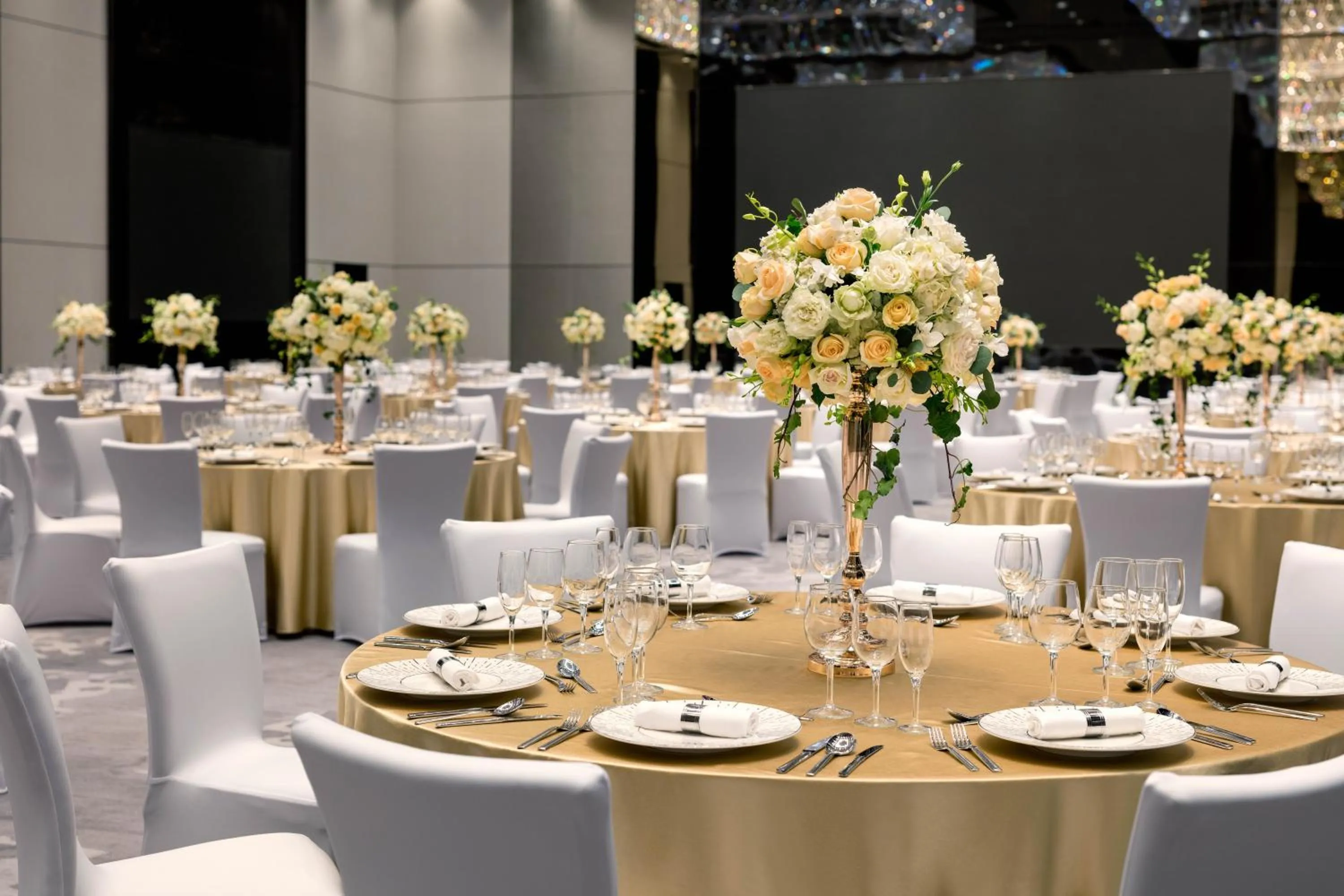 Banquet/Function facilities in Niccolo Changsha