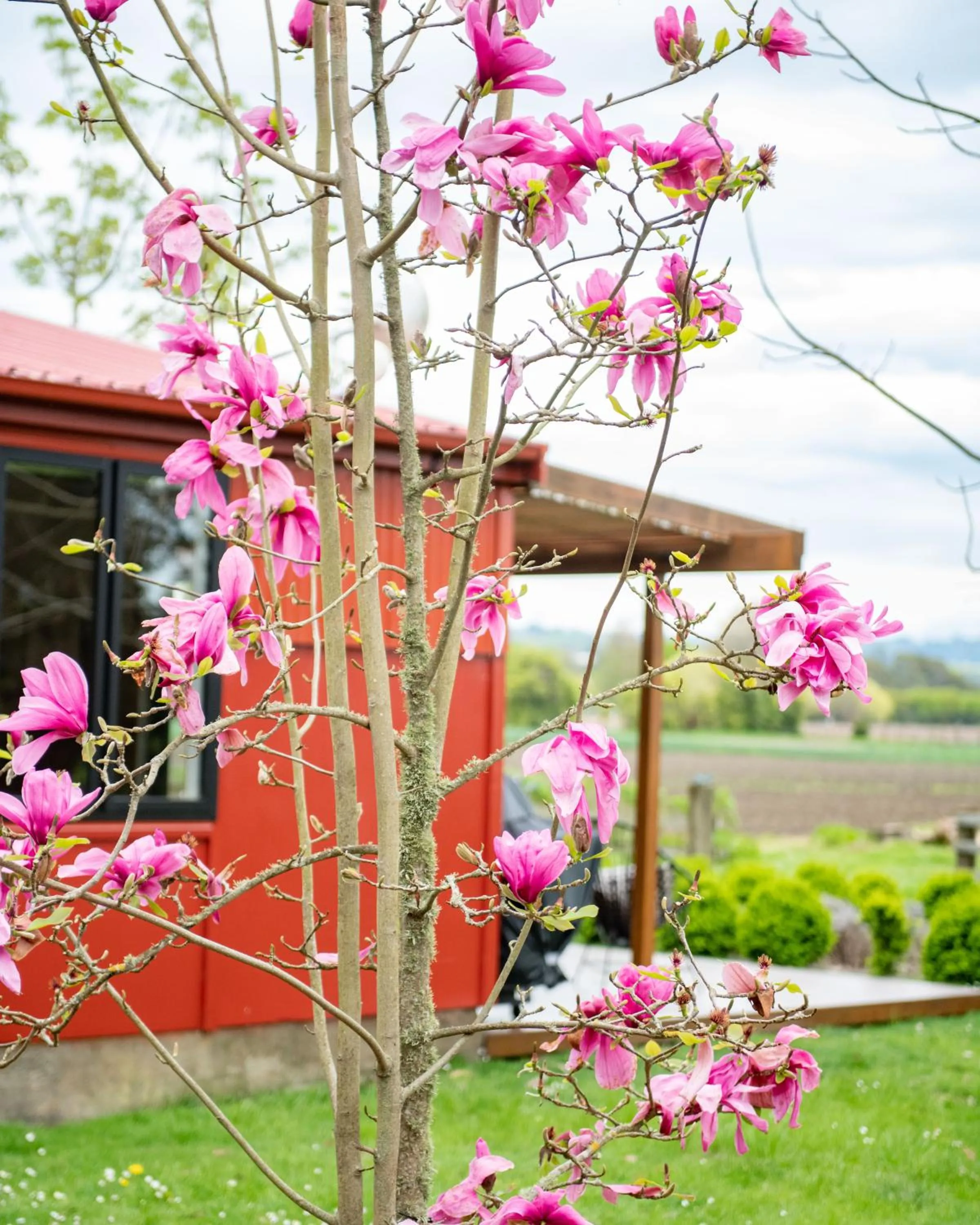 Property building in River Road Retreat