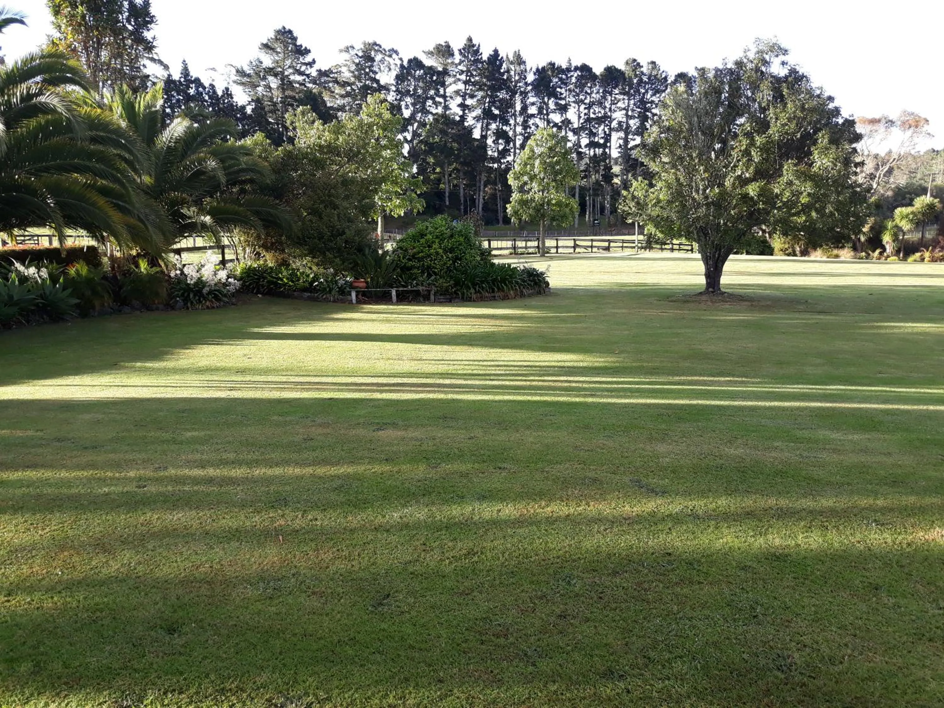 View (from property/room) in Rural Palms