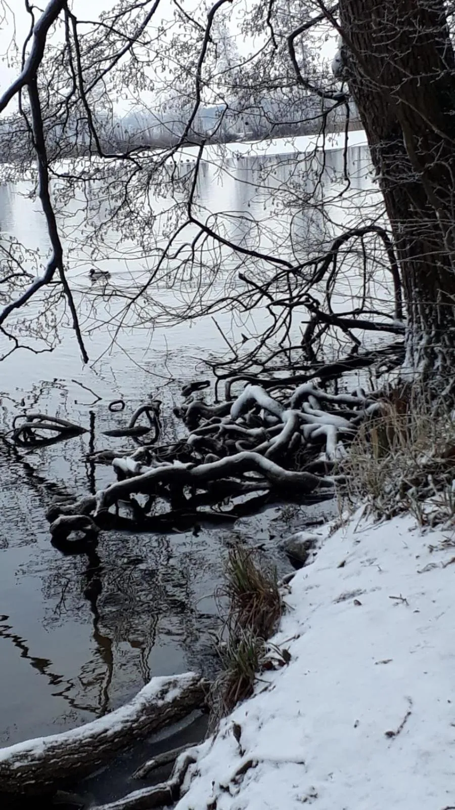 Natural landscape in Landhaus am Schaalsee