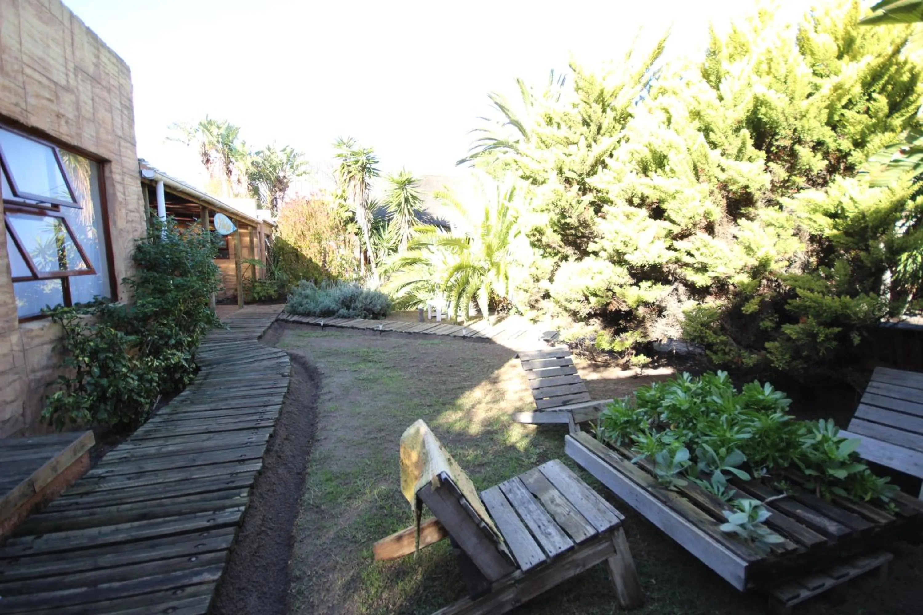 Patio in Saltycrax Backpackers and Surf Hostel