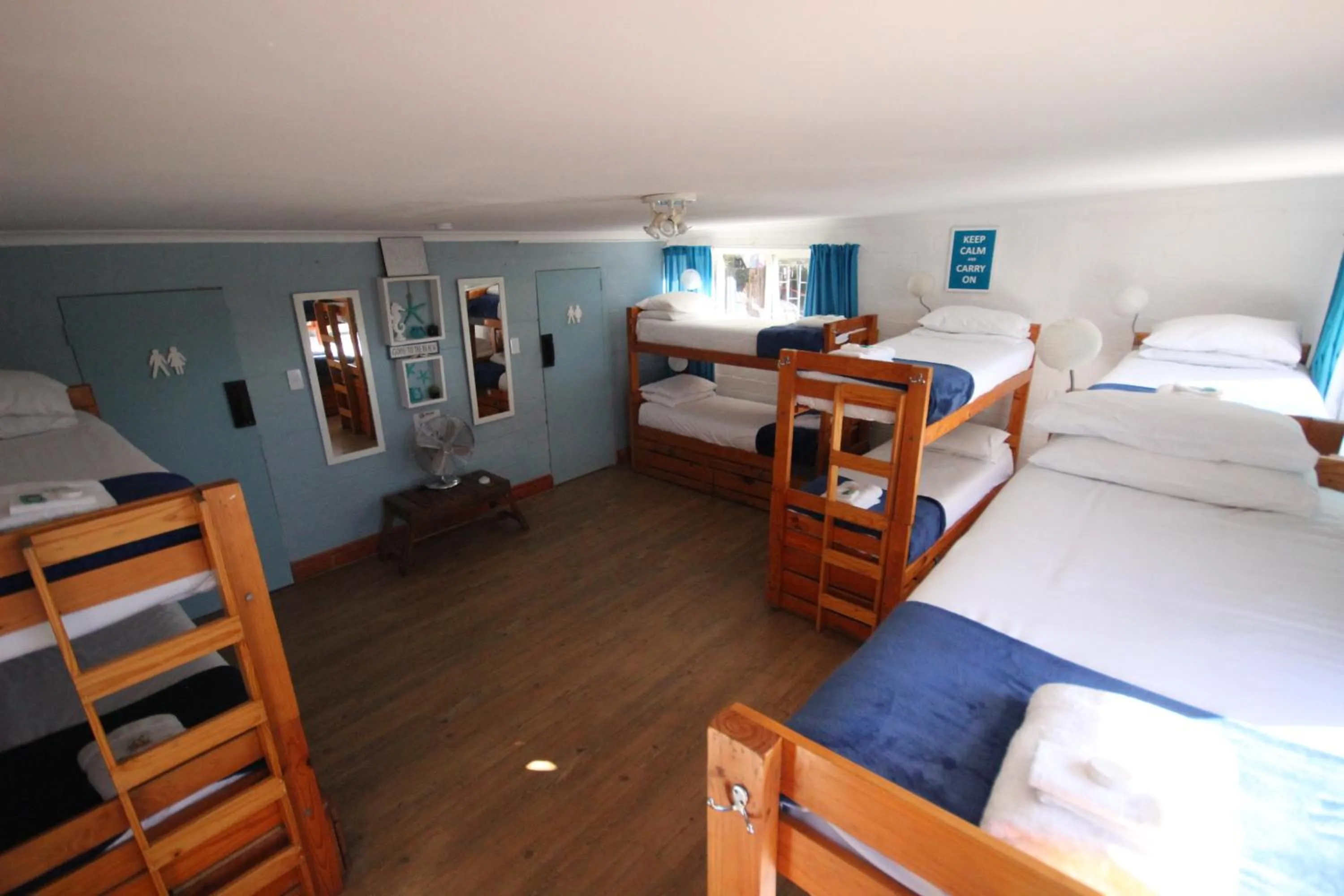 bunk bed, Bed in Saltycrax Backpackers and Surf Hostel