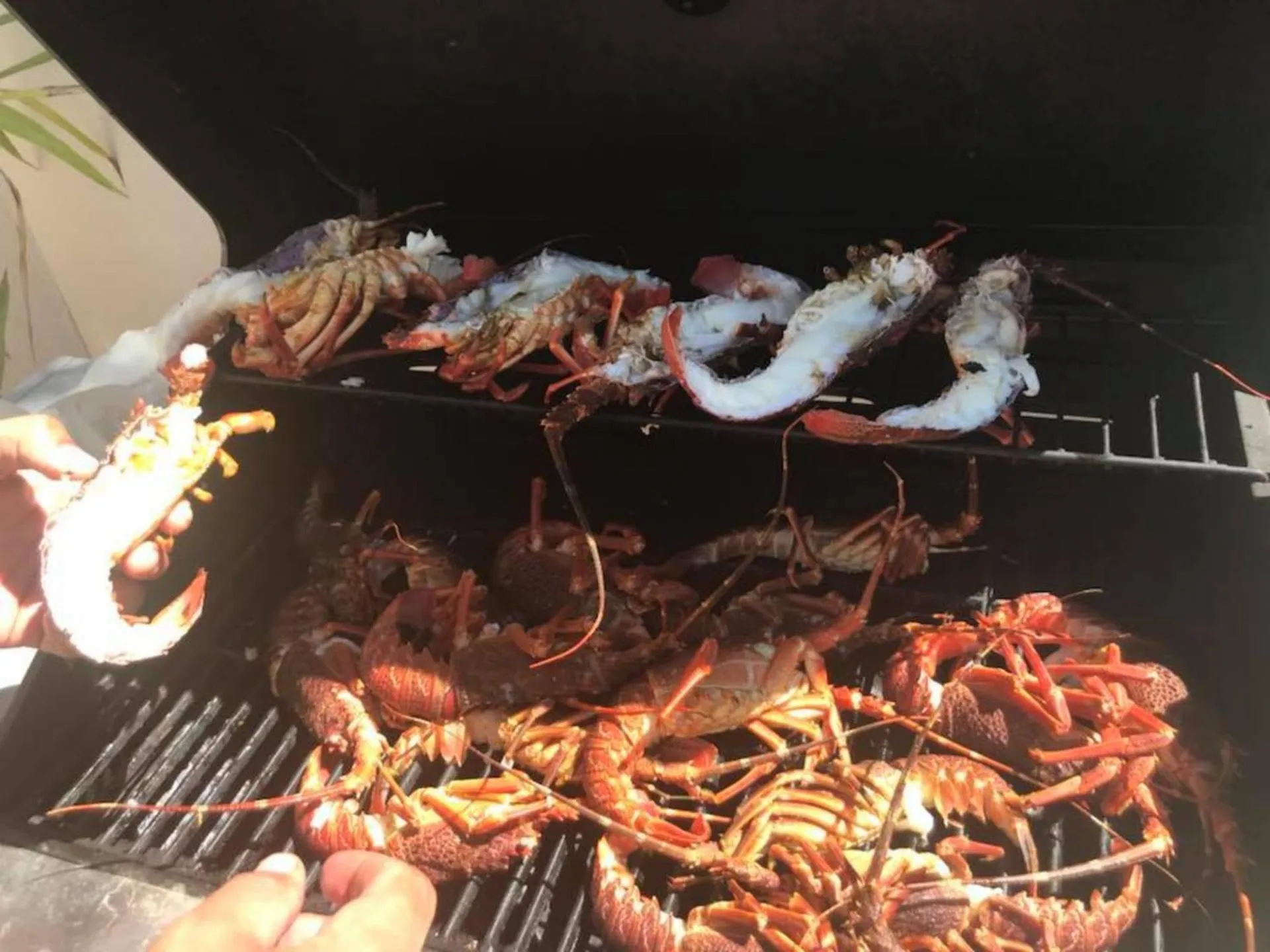 BBQ facilities in Saltycrax Backpackers and Surf Hostel