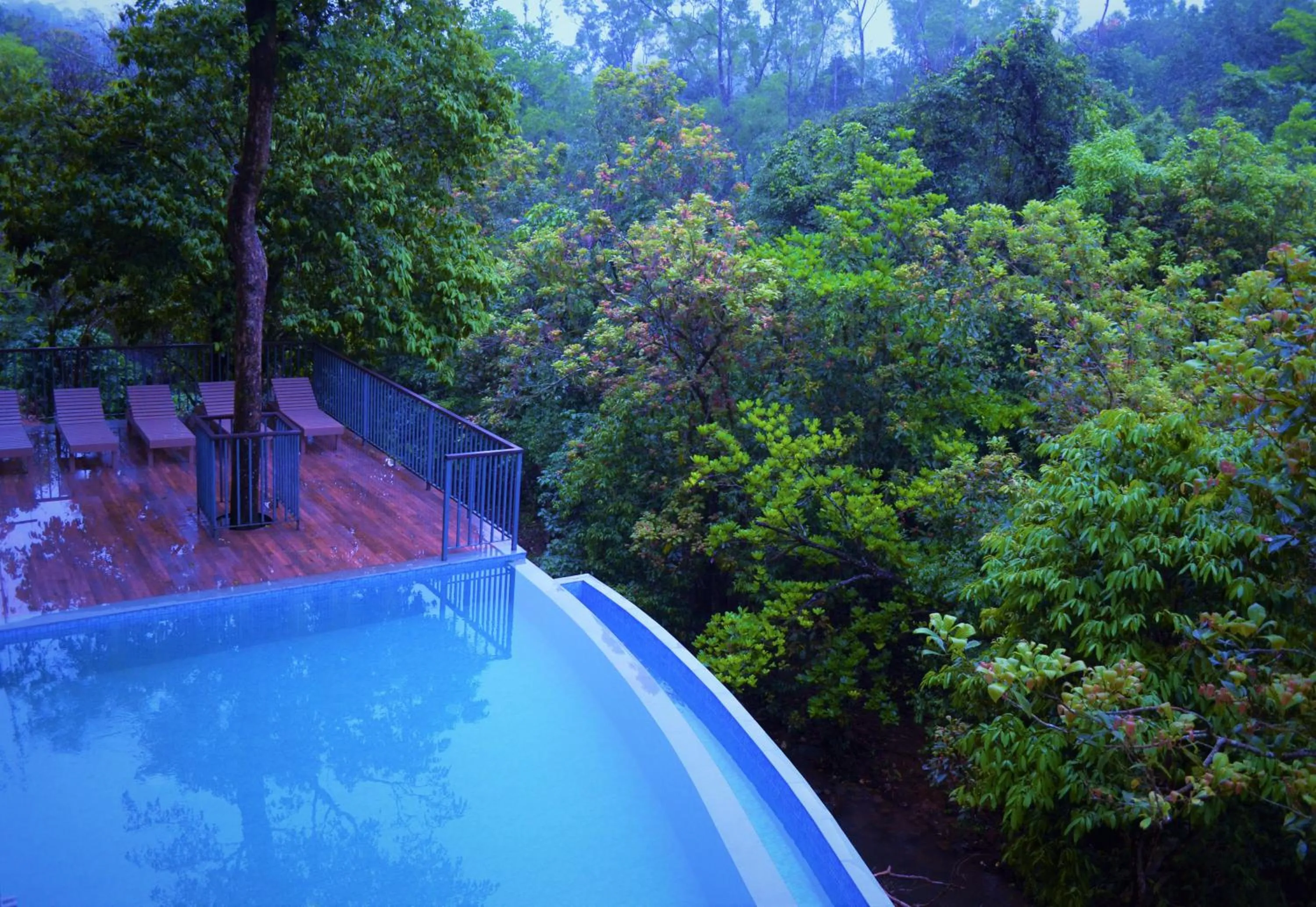 Natural landscape in Abad Brookside Wayanad