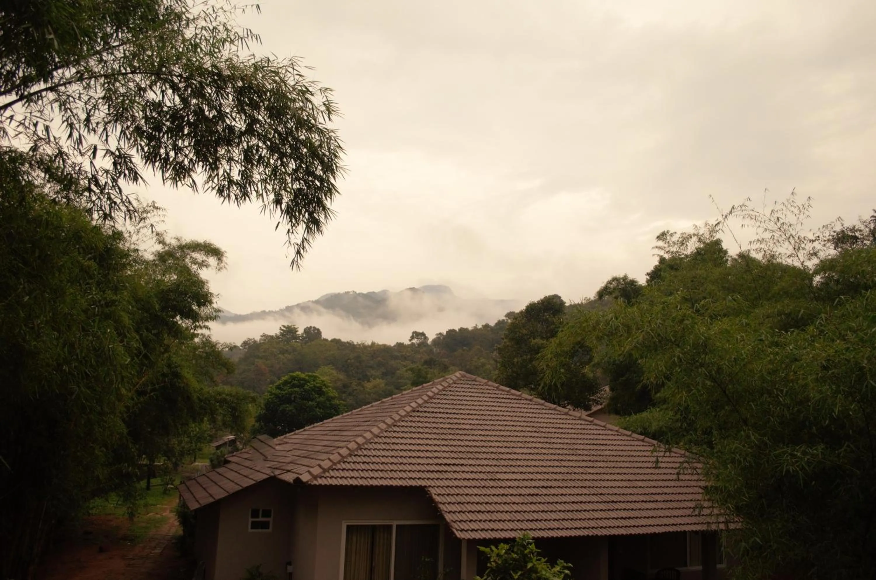 Natural landscape in Abad Brookside Wayanad