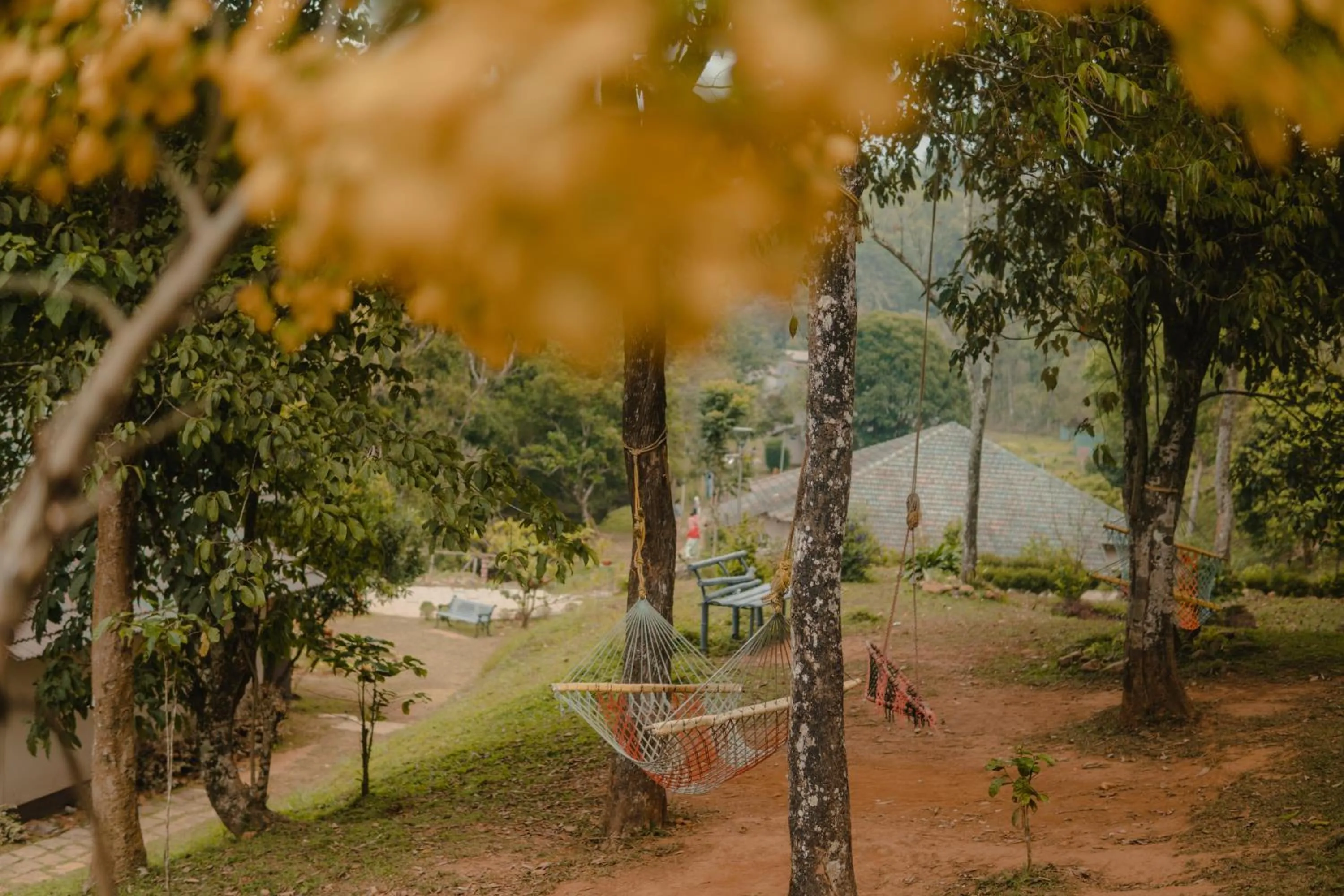 Natural landscape in Abad Brookside Wayanad