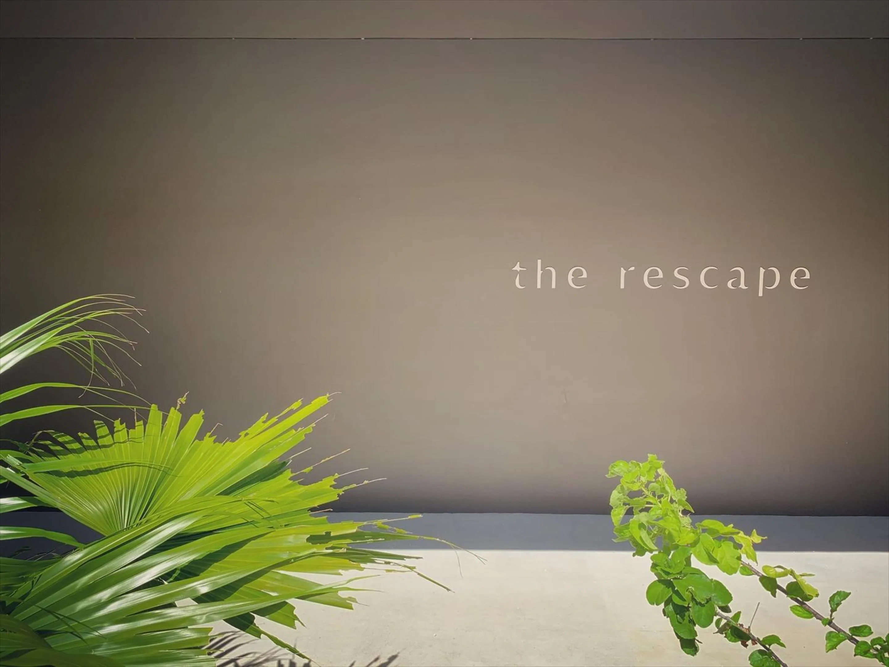 Property logo or sign in The Rescape