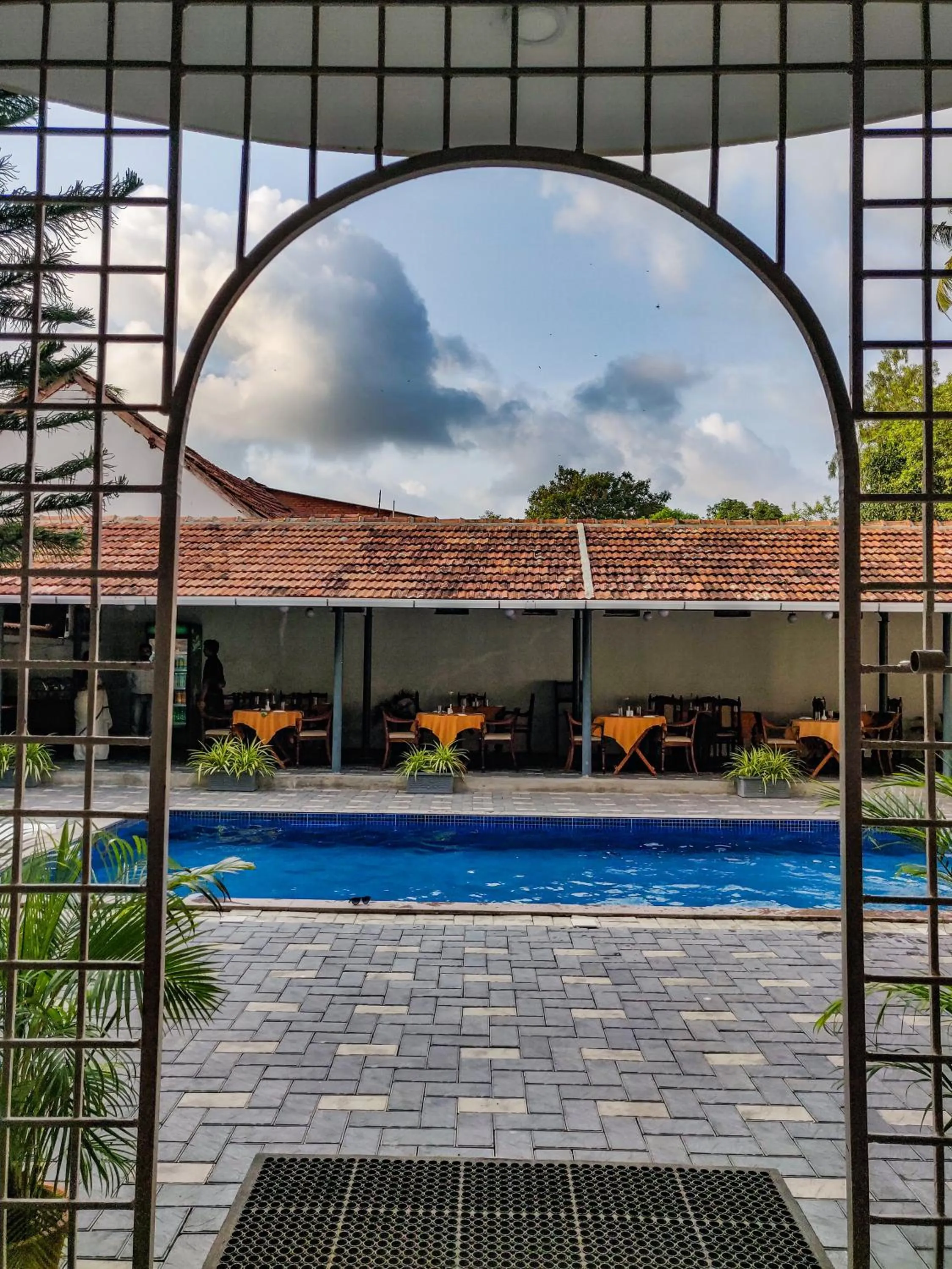 Swimming pool in Dutch Bungalow