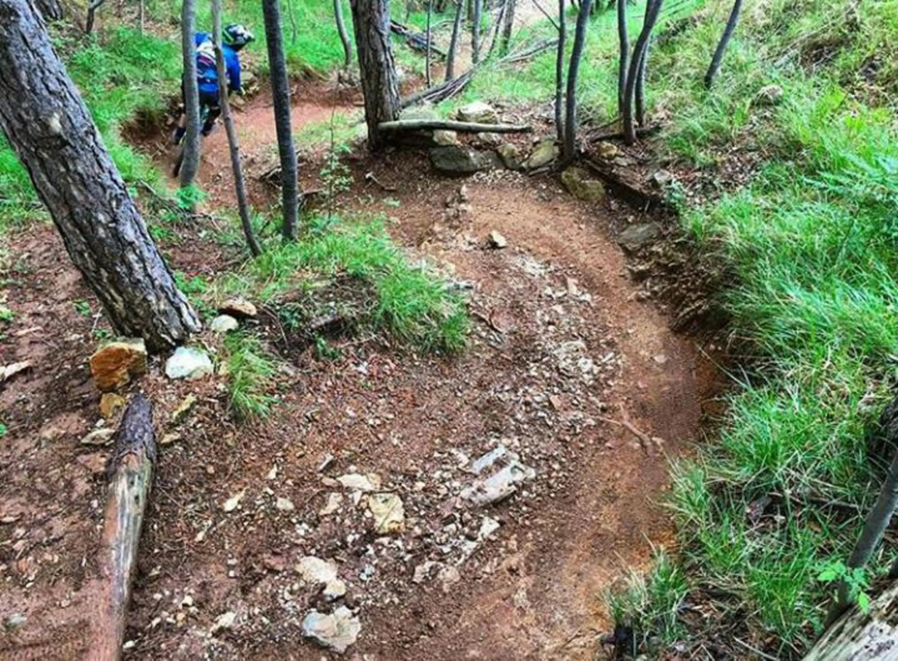 Cycling in Hotel San Pietro Palace
