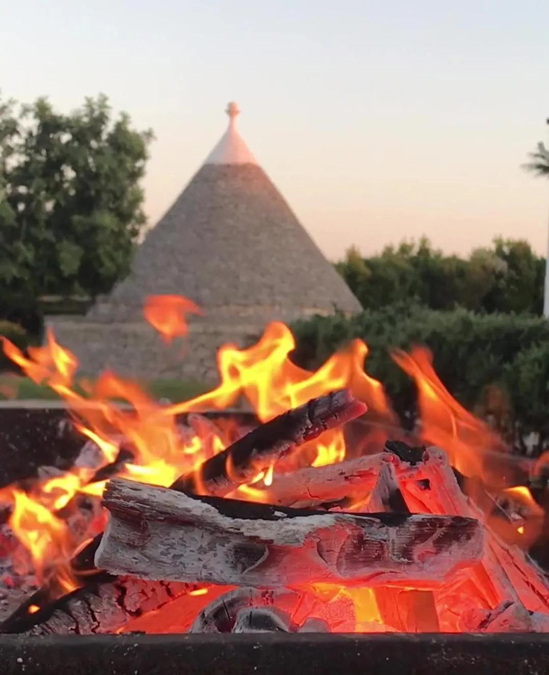 Restaurant/places to eat in Relais Masseria della Colomba - Agriturismo