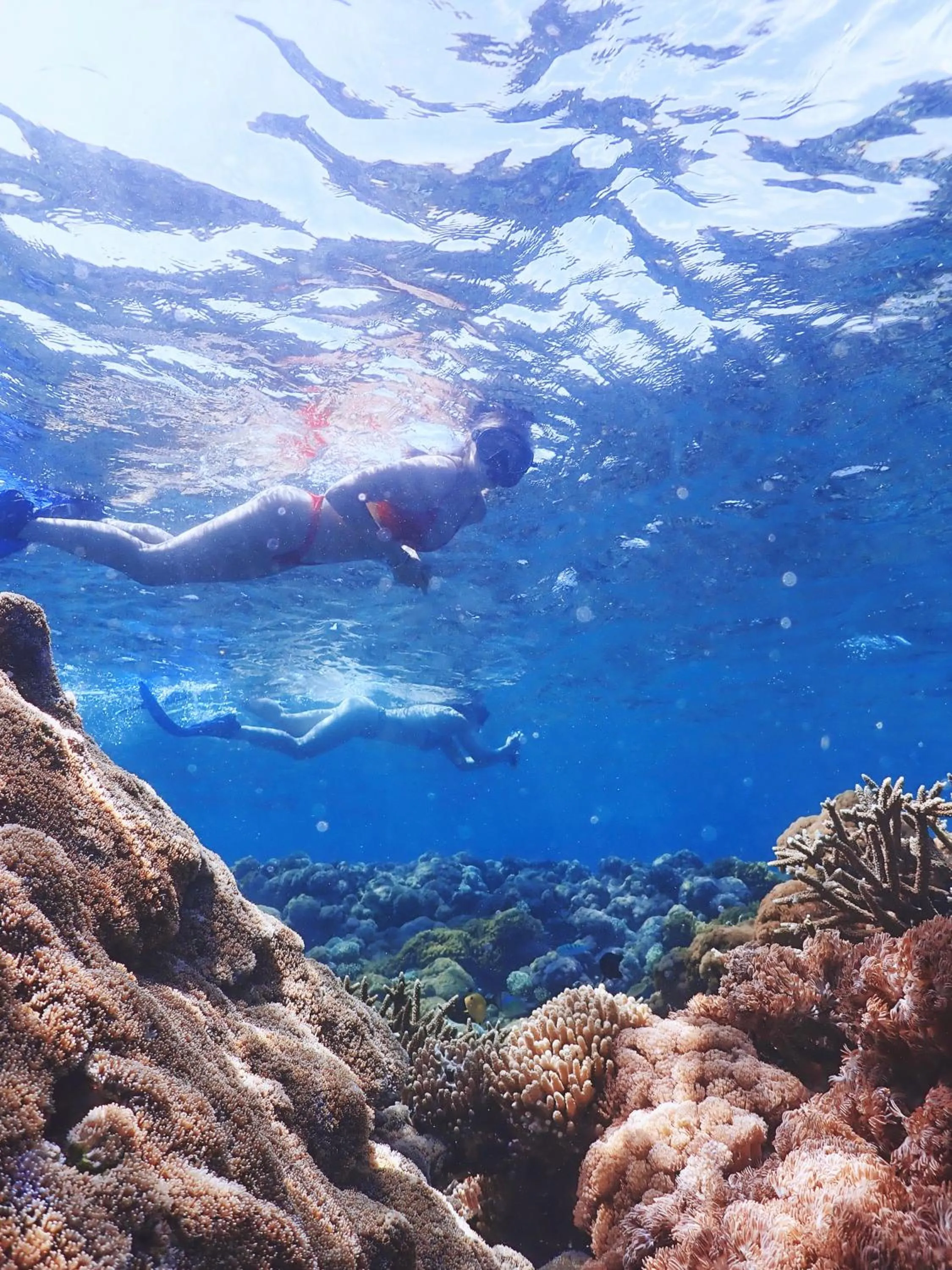 People in Ekas Surf Resort & Surf Camp