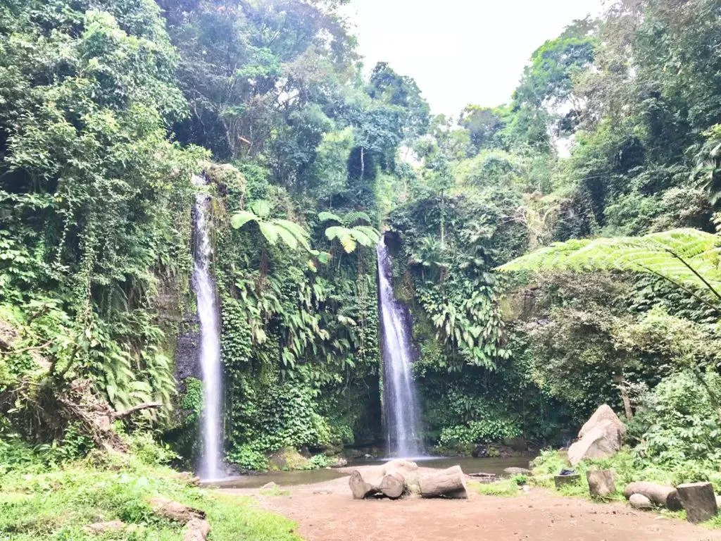 Natural landscape in Ekas Surf Resort & Surf Camp