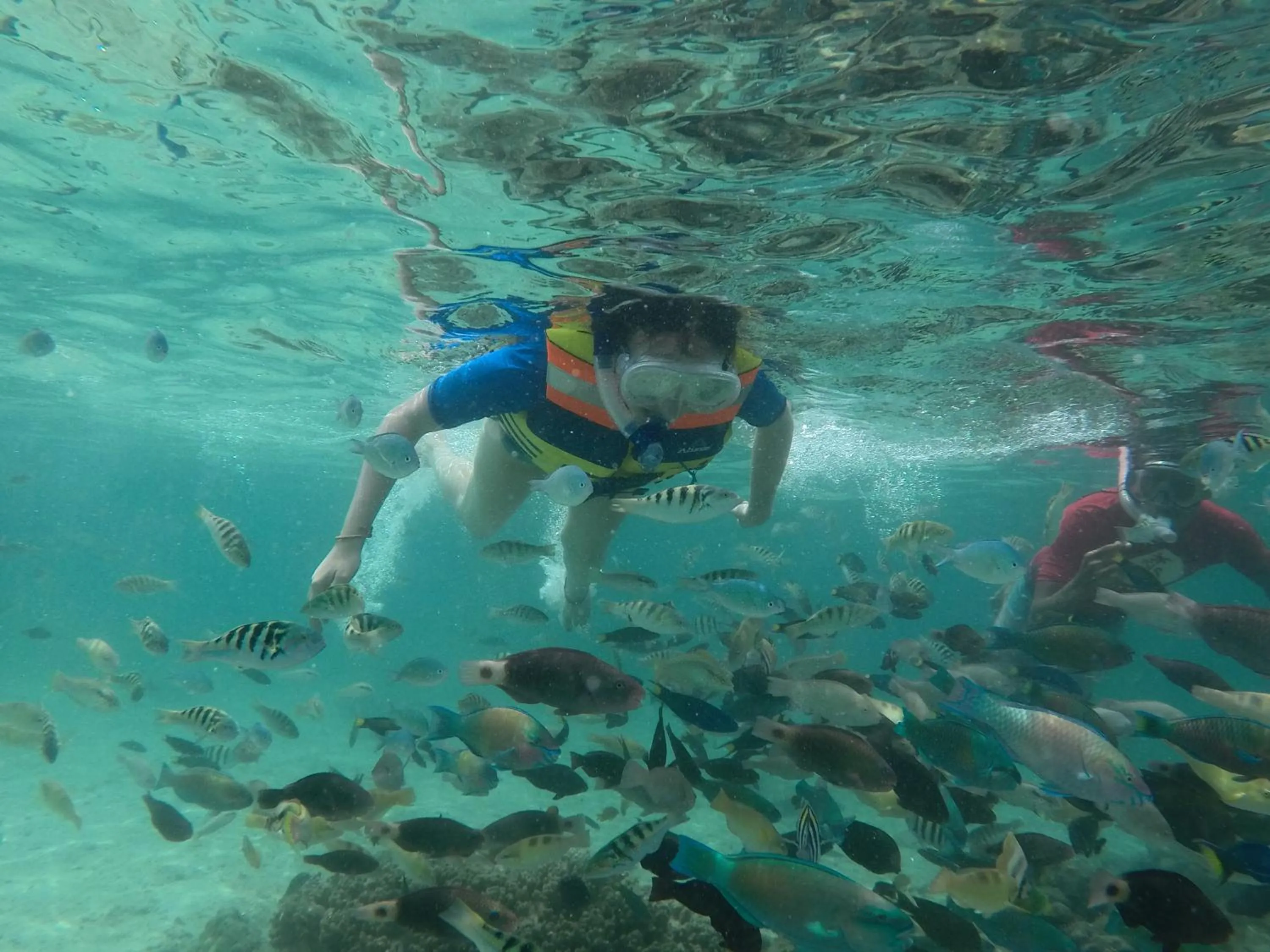 Ekas Surf Resort & Surf Camp