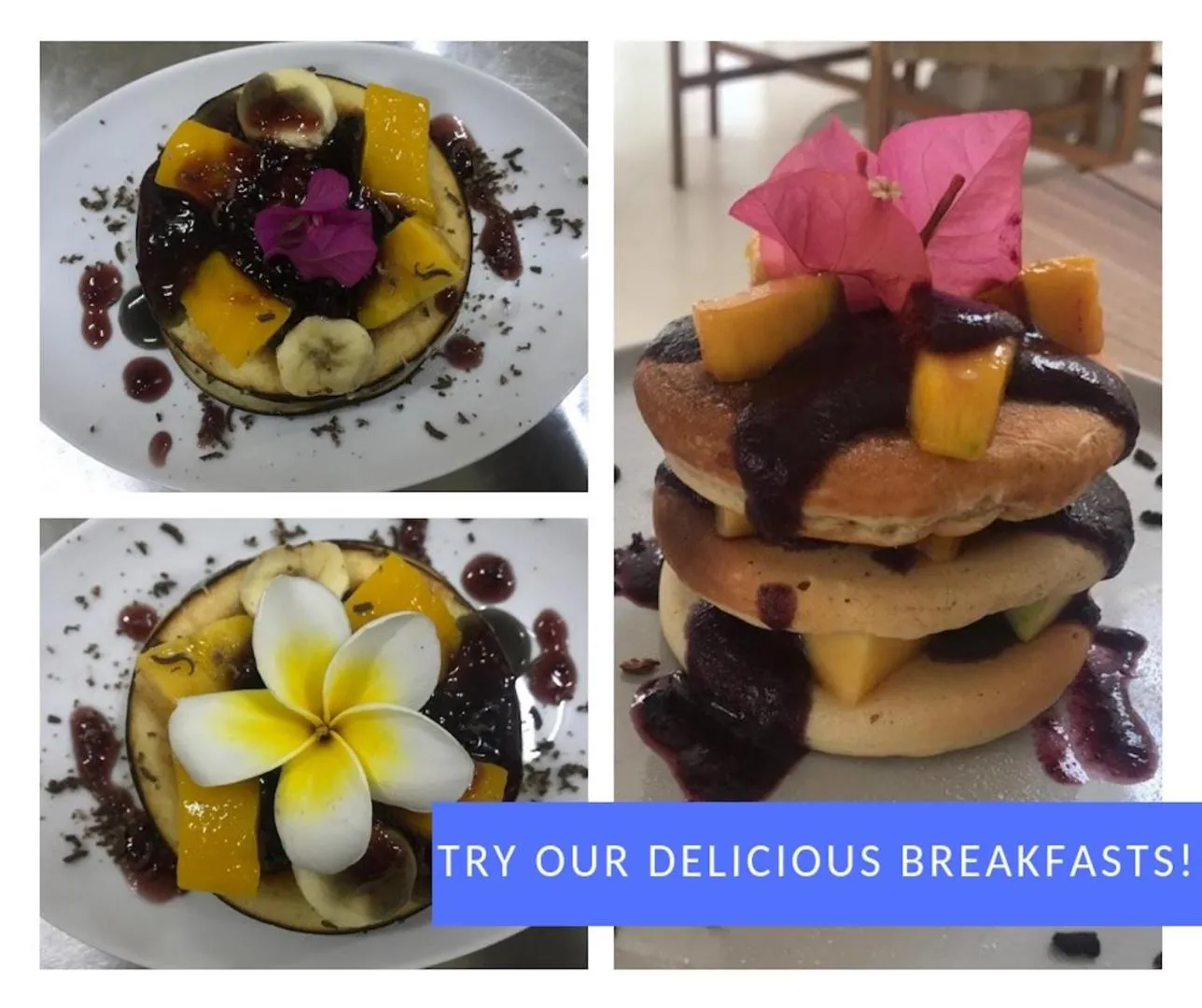 Food and drinks in Ekas Surf Resort & Surf Camp