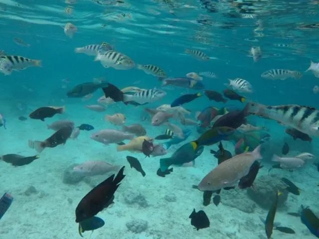 Ekas Surf Resort & Surf Camp