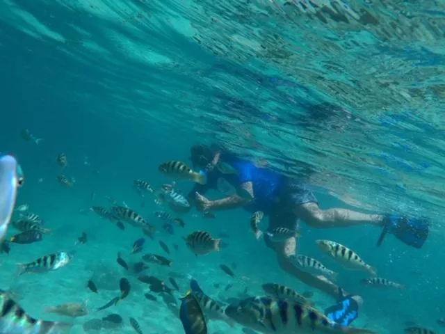 Ekas Surf Resort & Surf Camp