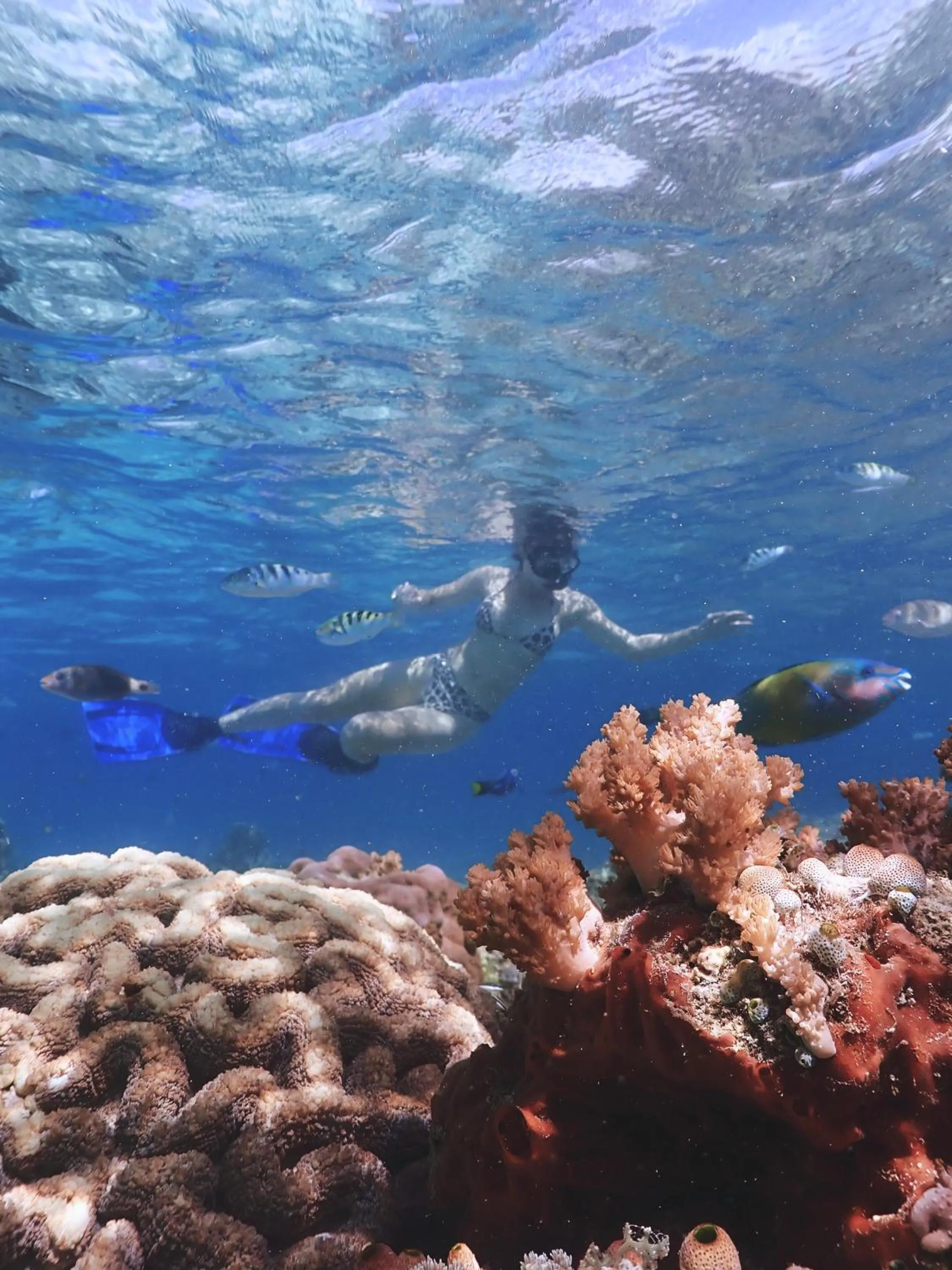 People in Ekas Surf Resort & Surf Camp