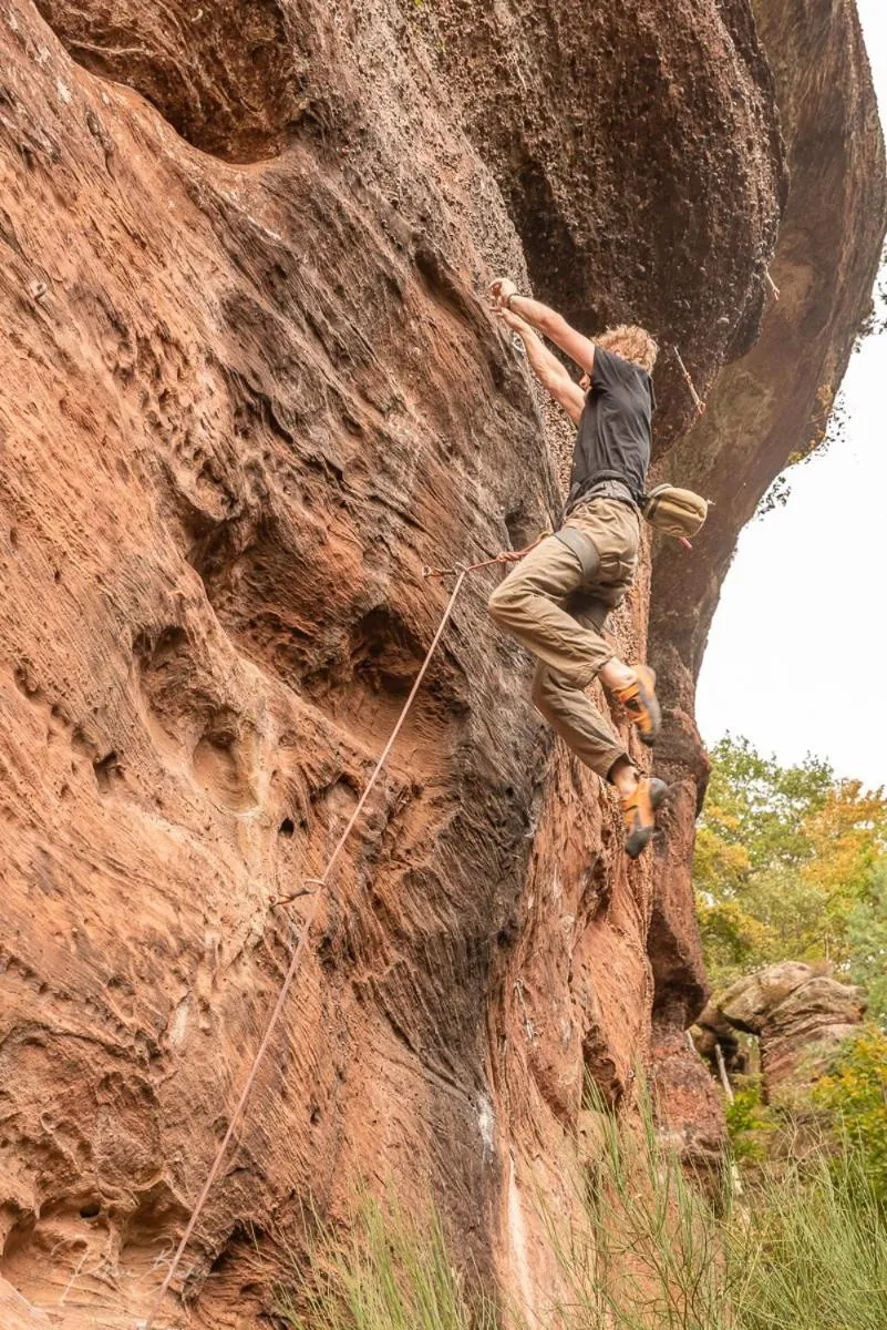Activities in Logis Hôtel Notre-Dame - restaurant ouvert midi et soir sauf dimanche soir
