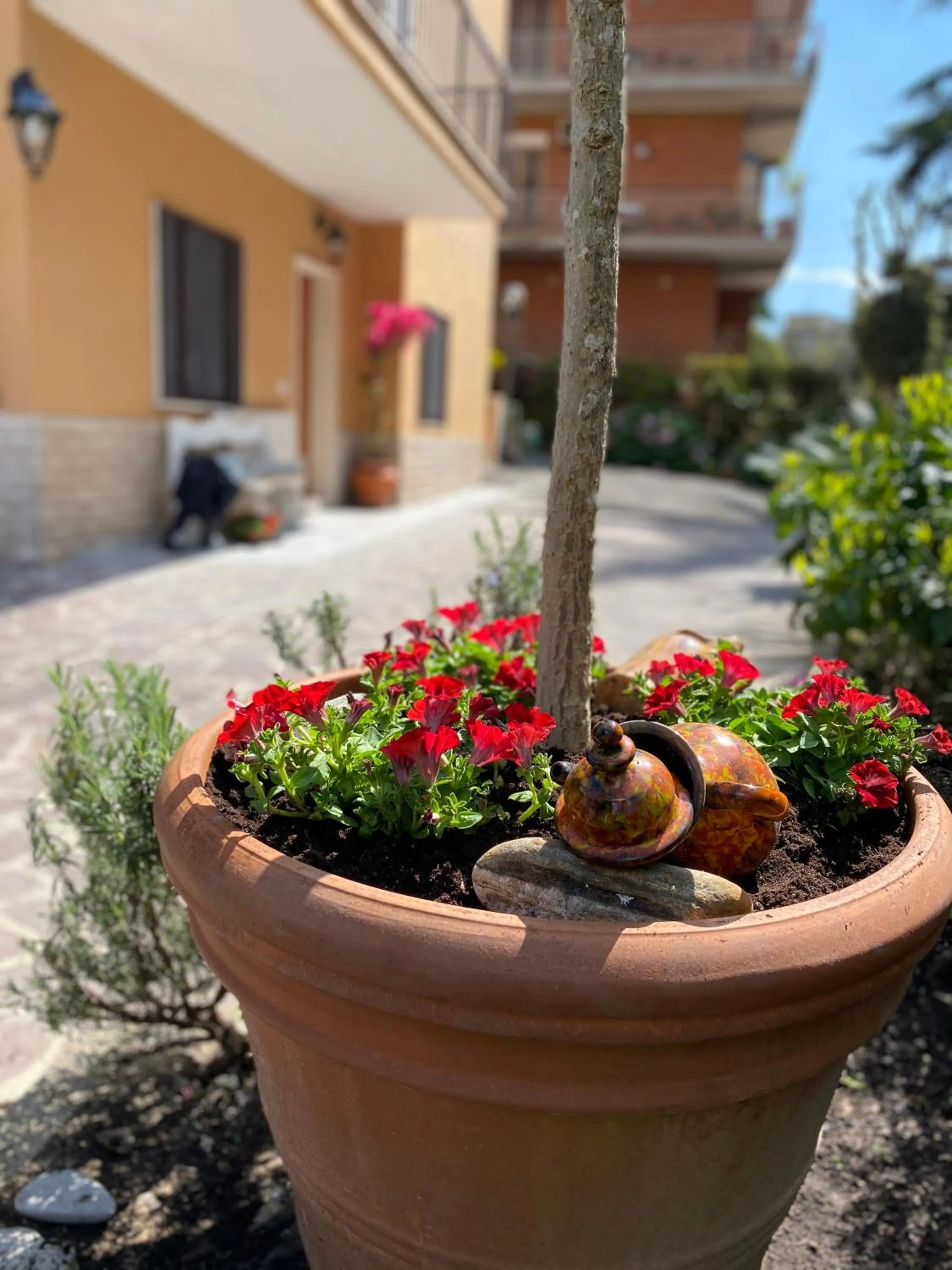 Property building in Olympic Suite Roma