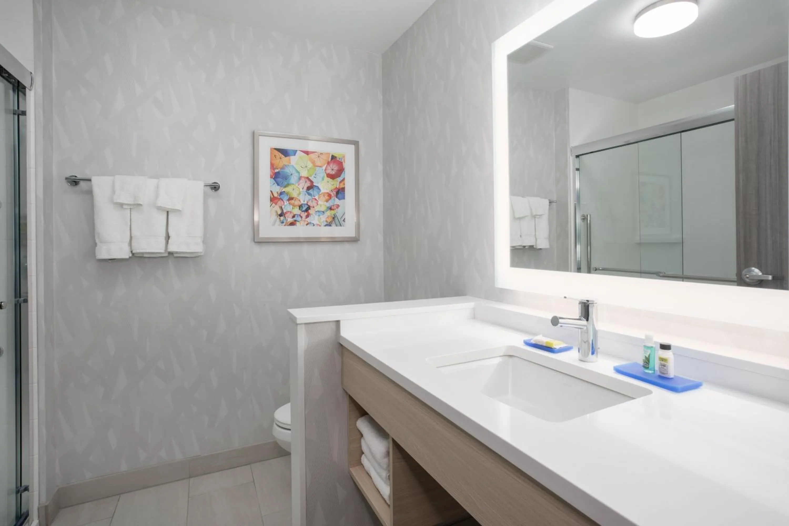 Bathroom in Holiday Inn Express & Suites - Denver NE - Brighton by IHG