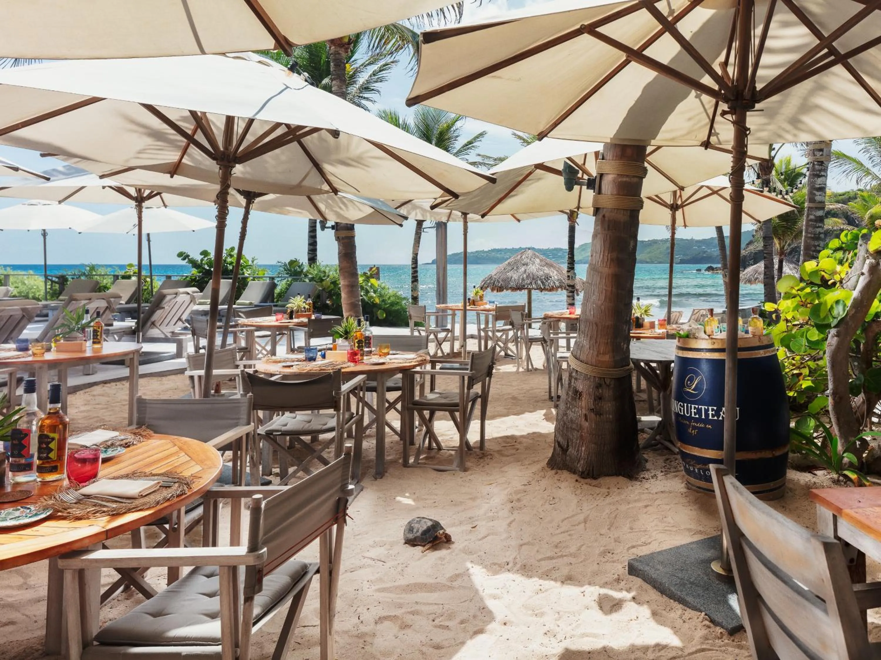 Restaurant/places to eat in Hotel Manapany