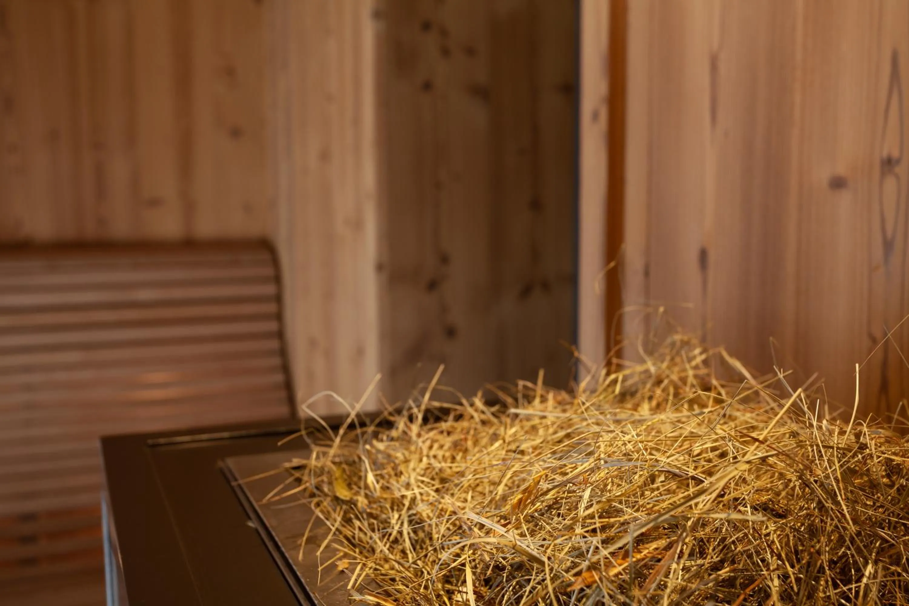 Massage in 22 Summits Boutique Hotel