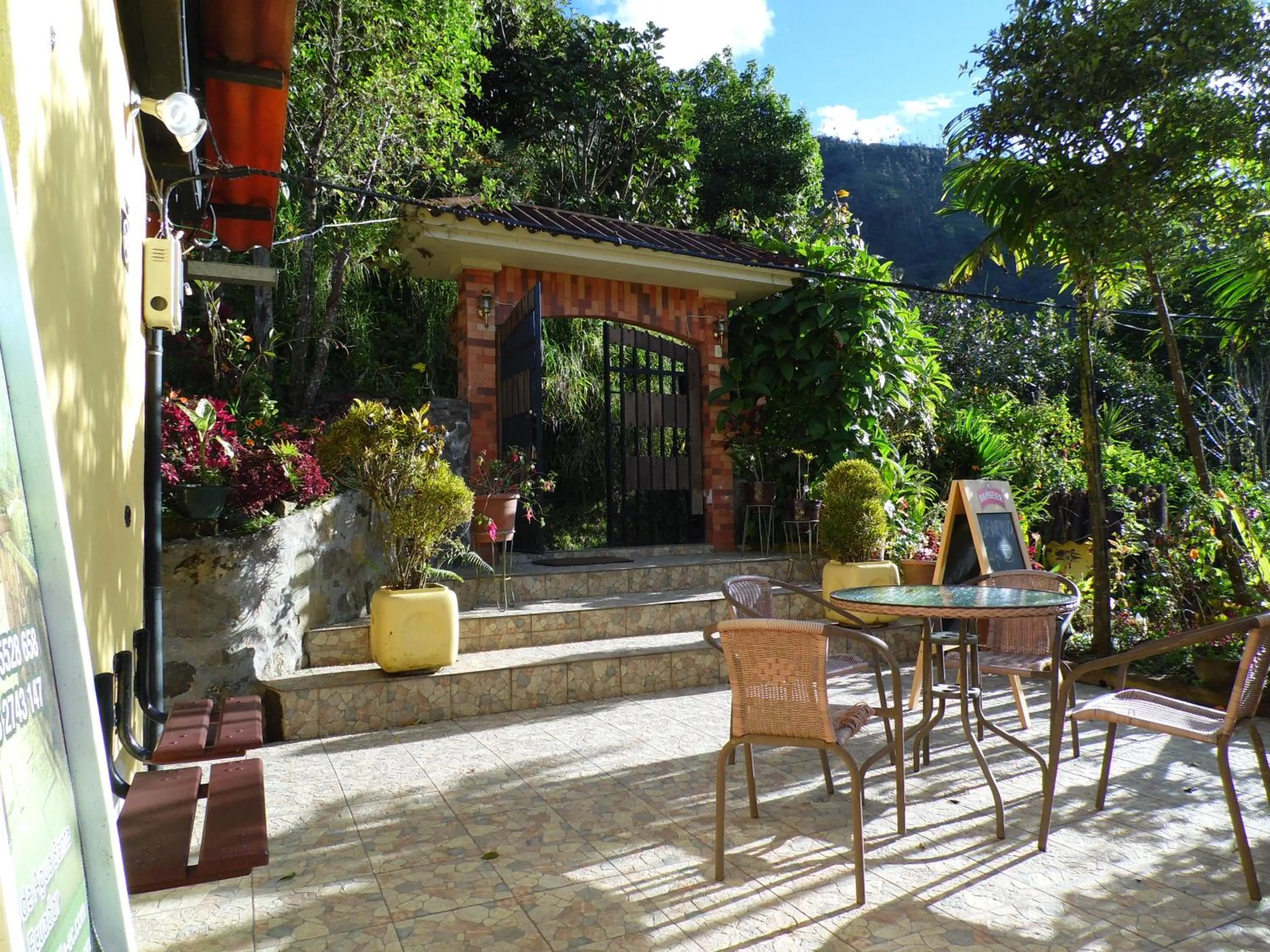 Garden in La Casa Amarilla