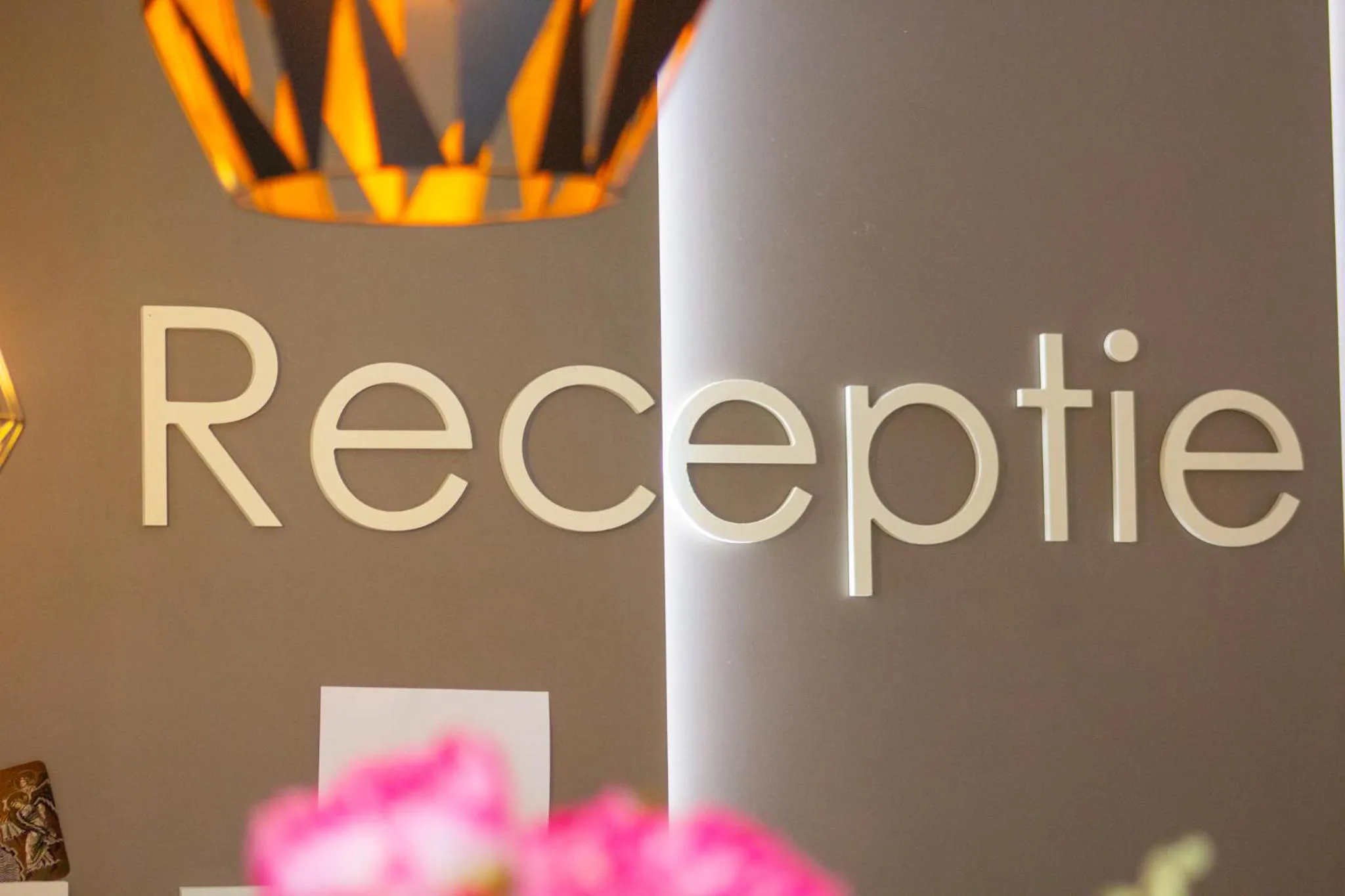 Lobby or reception in Casa Mureșan