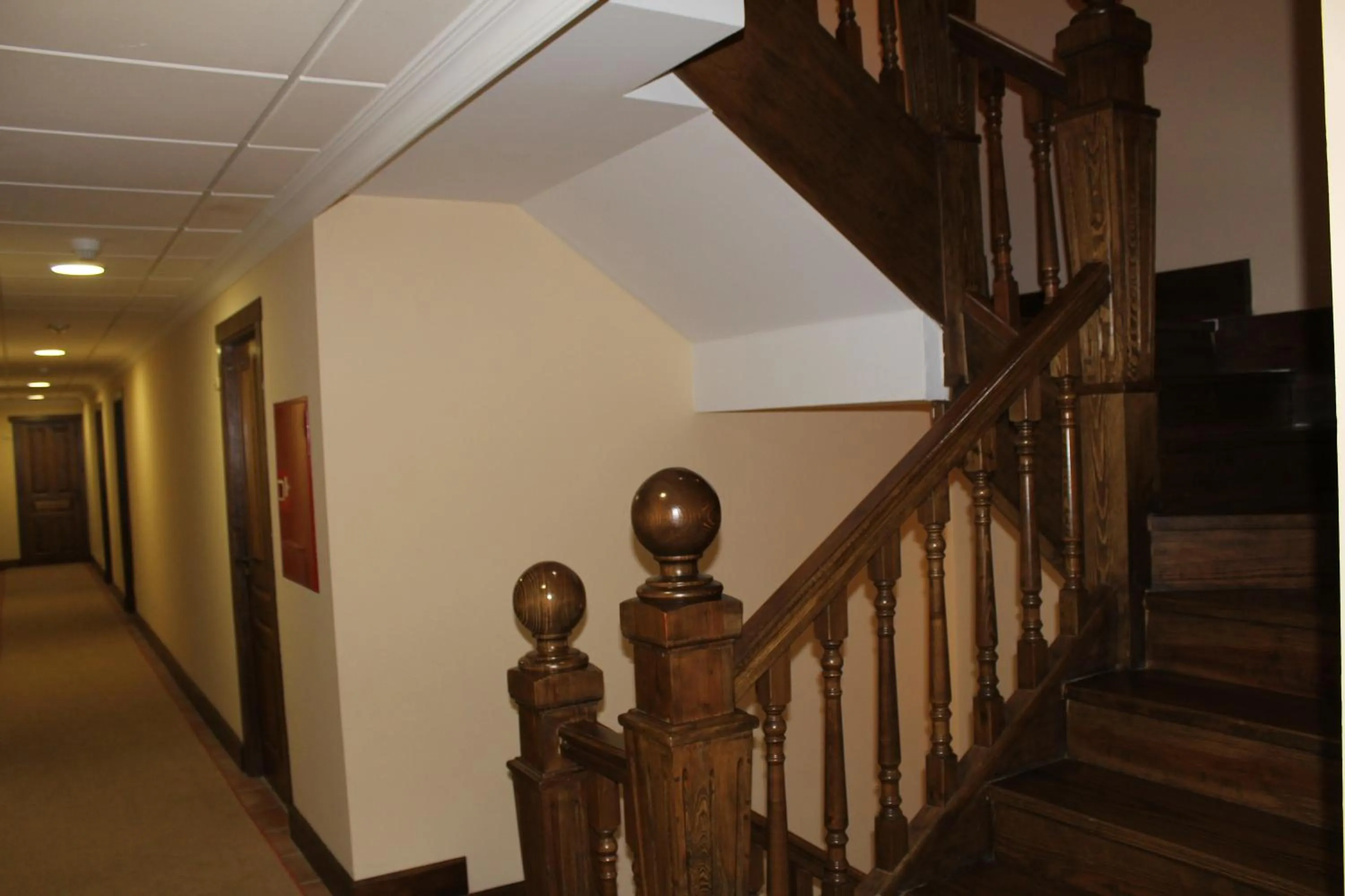 Area and facilities in Hotel Garabatos