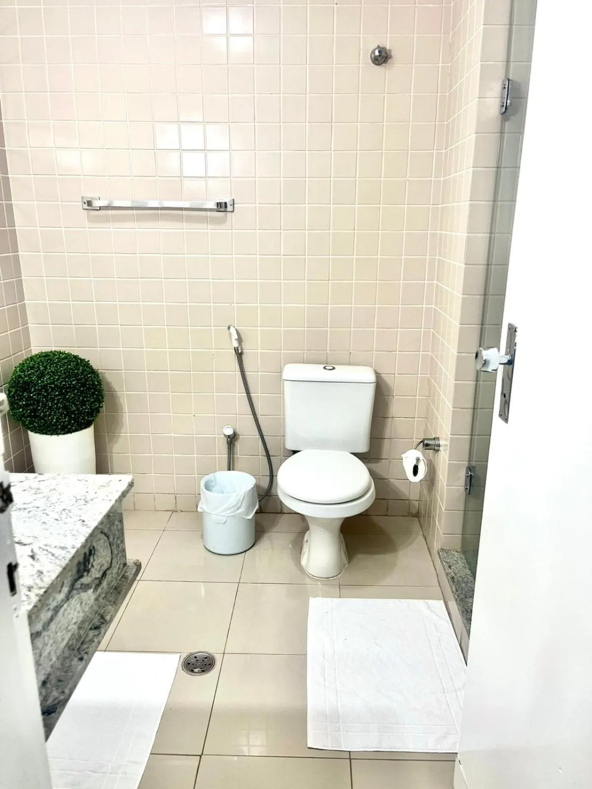 Imperador Palace Hotel Franca