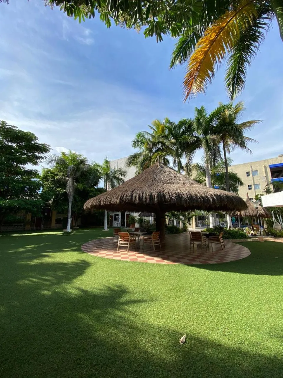Garden in Hotel Genova Centro
