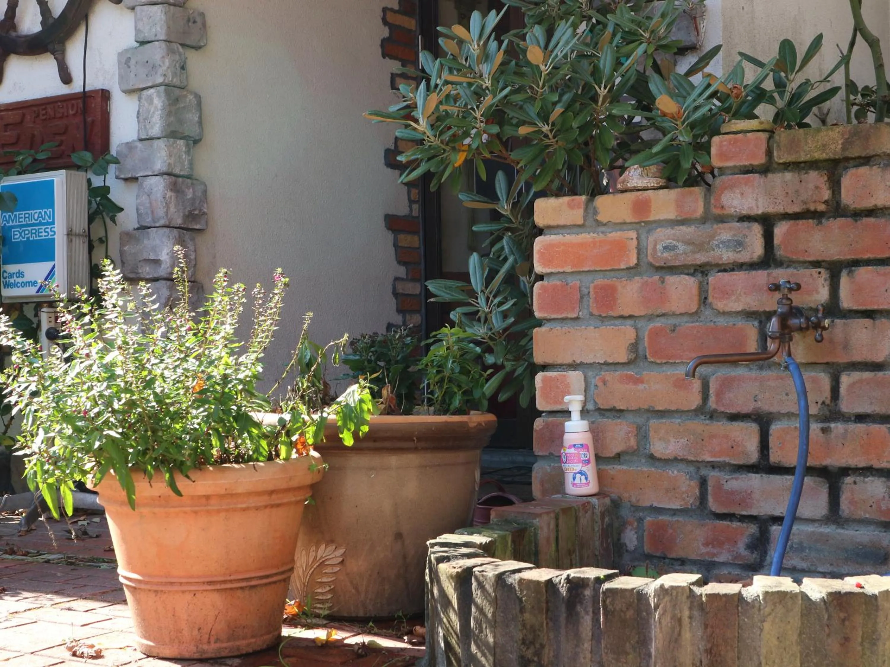 Area and facilities in Pension Eden