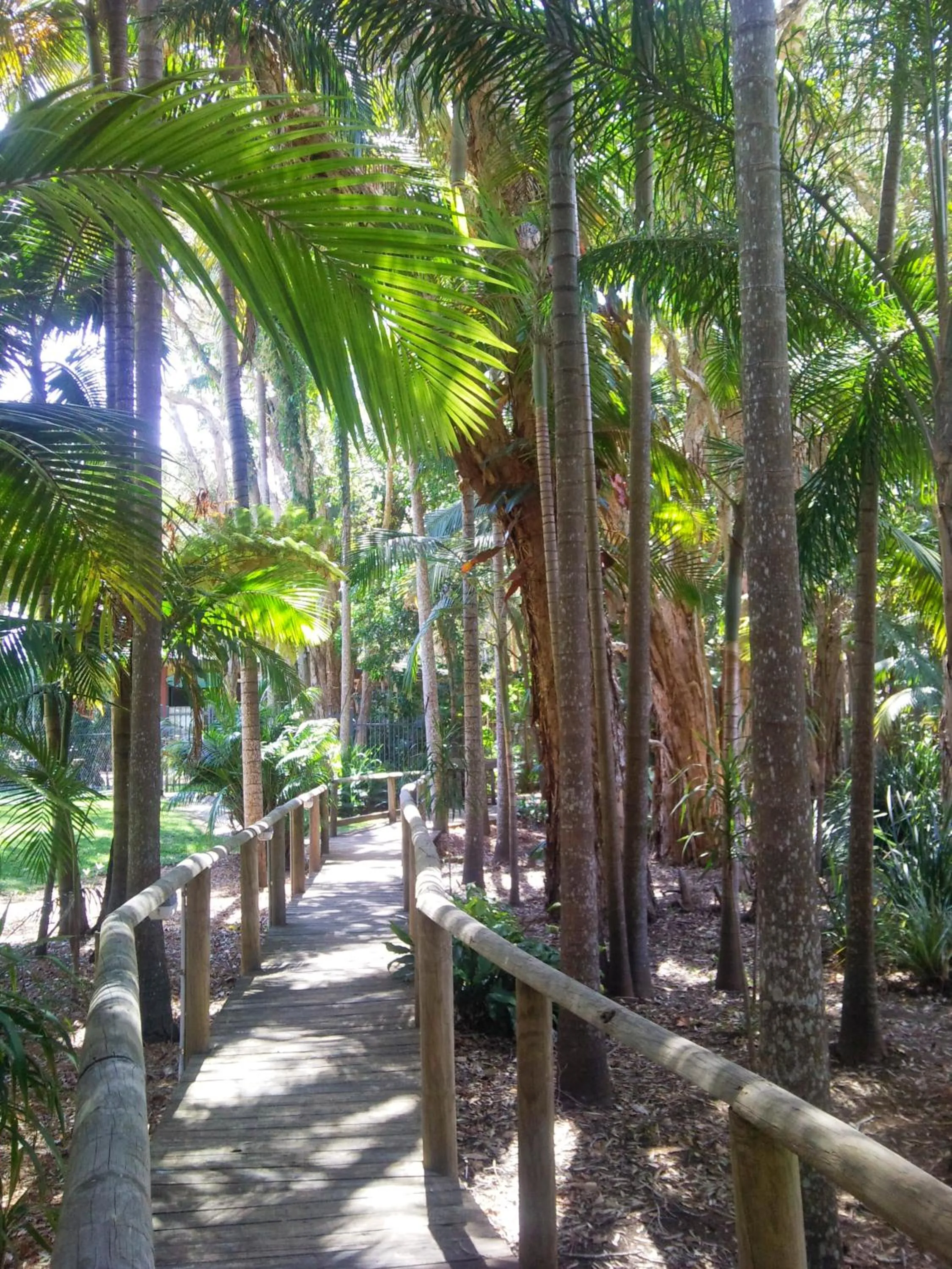 Day in Beach Resort Apartment