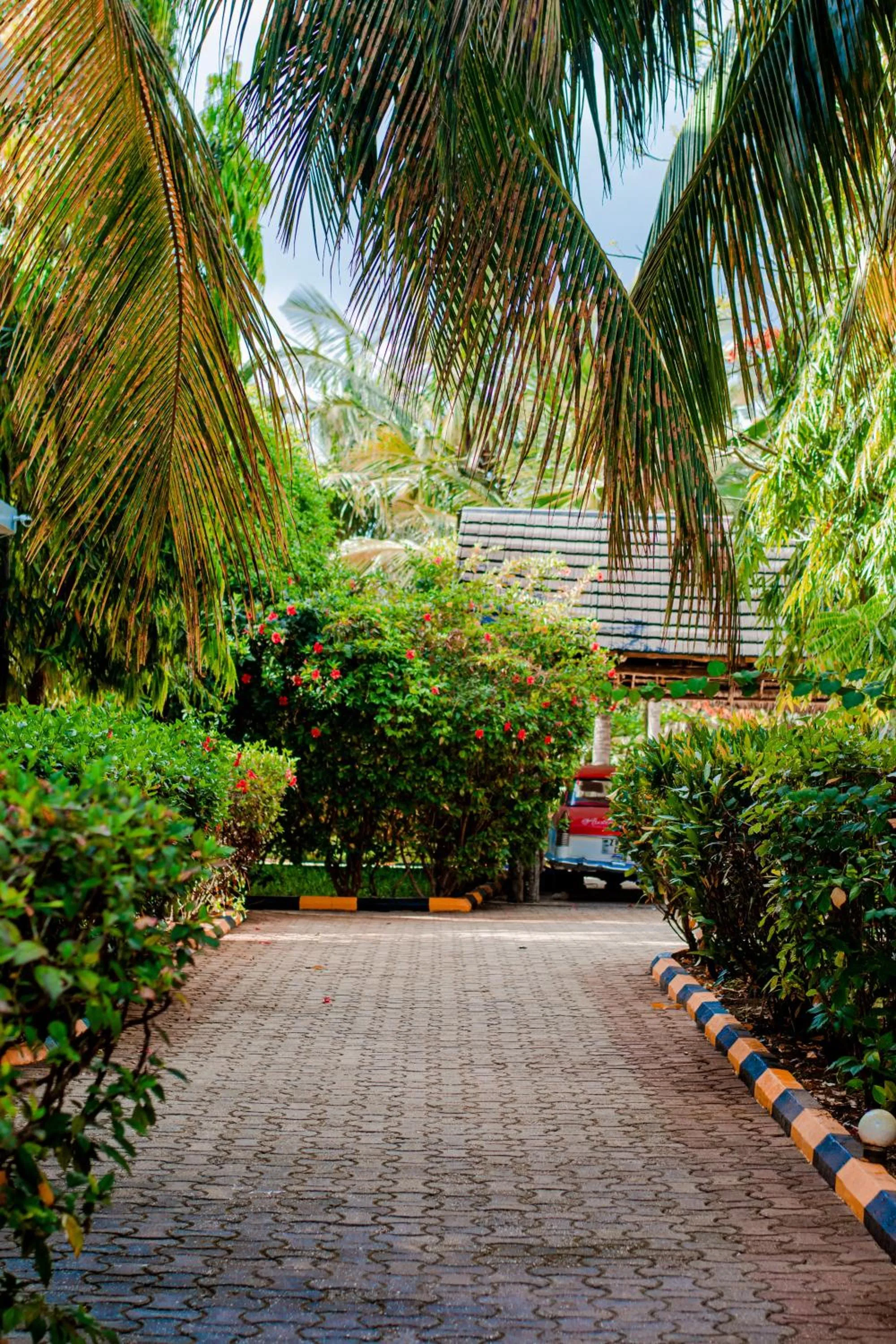 Garden in Mnarani Beach Cottages