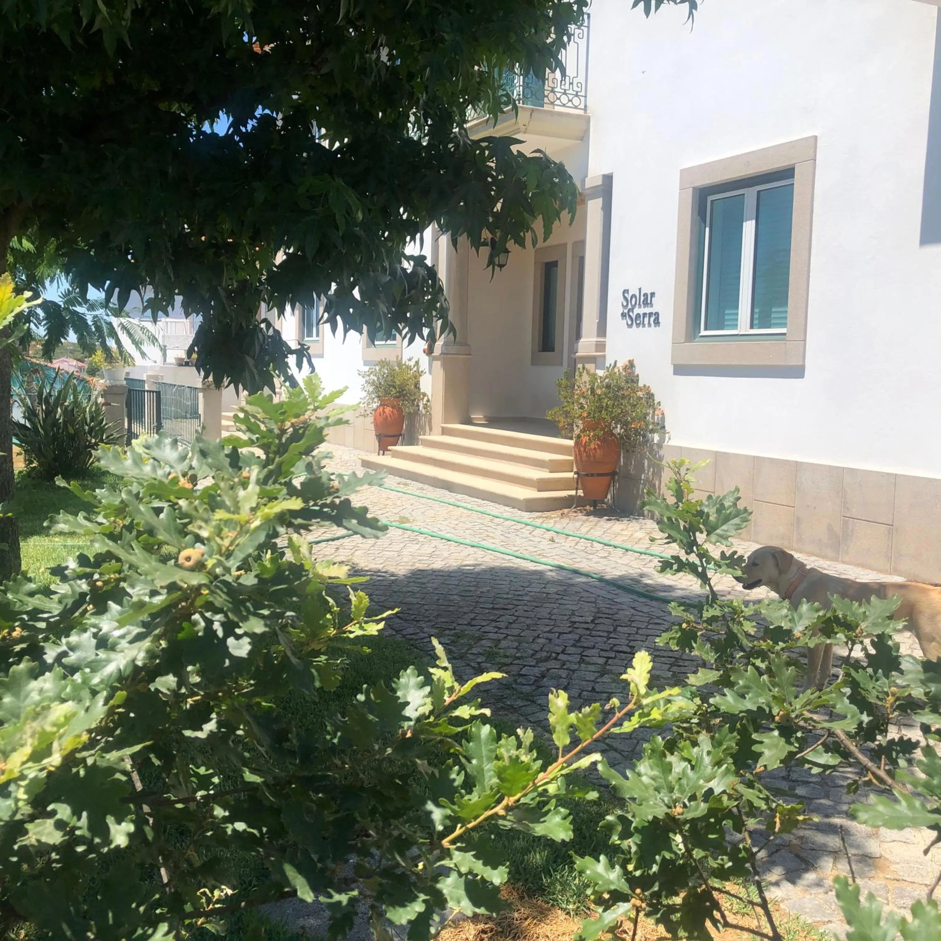 Facade/entrance in SOLAR DA SERRA-GuestHouse